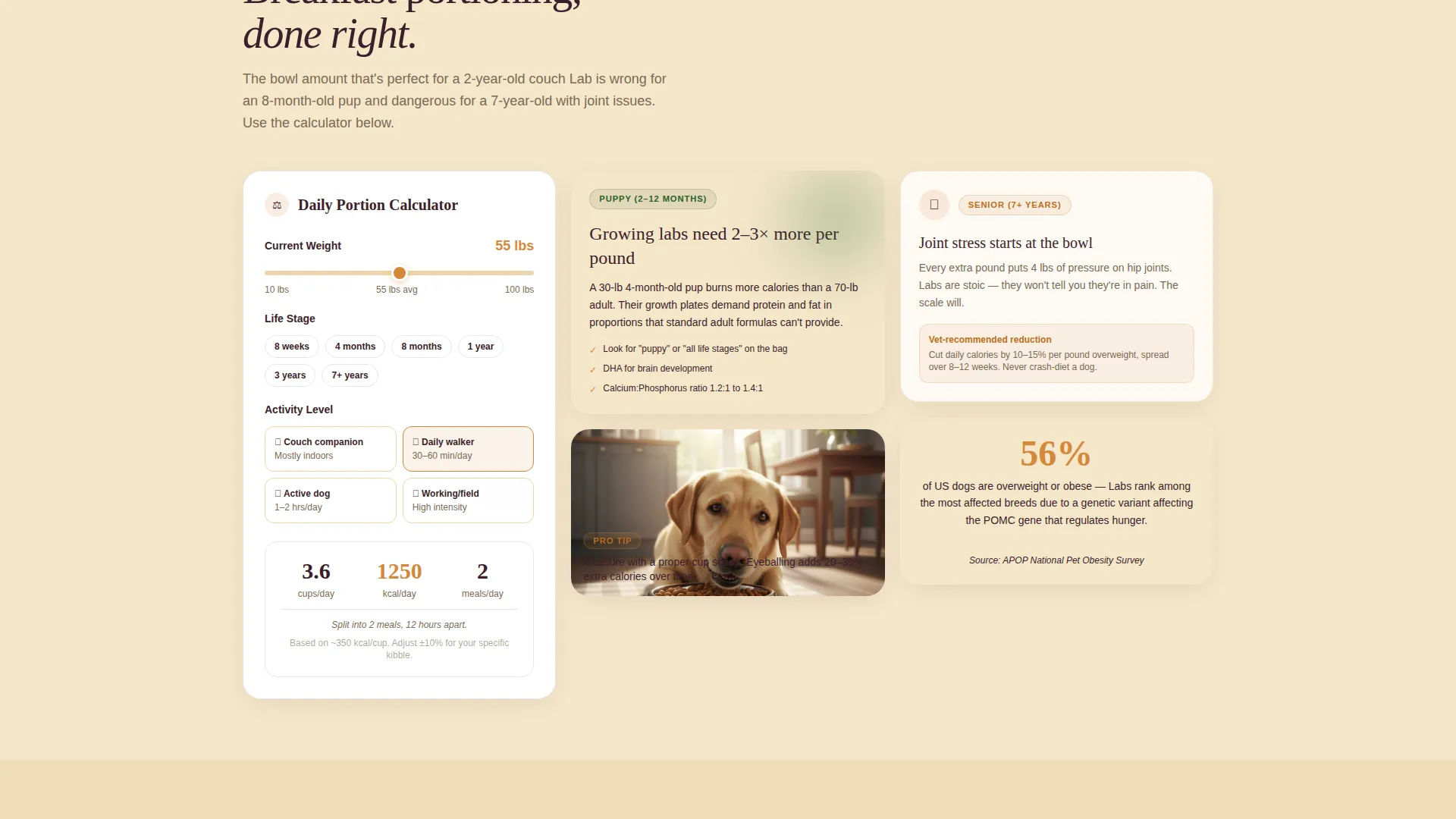 Dog Cost Calculator Website Template