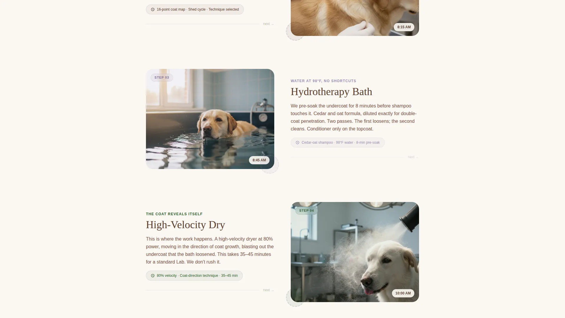 Dog Booking Website Template