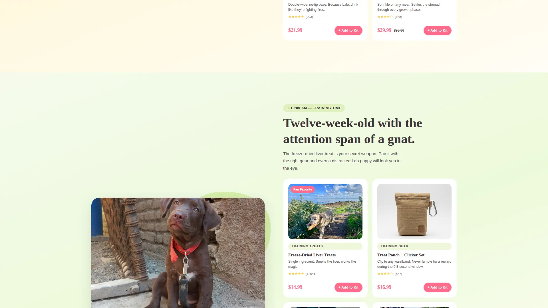 Dog Professional Website Template