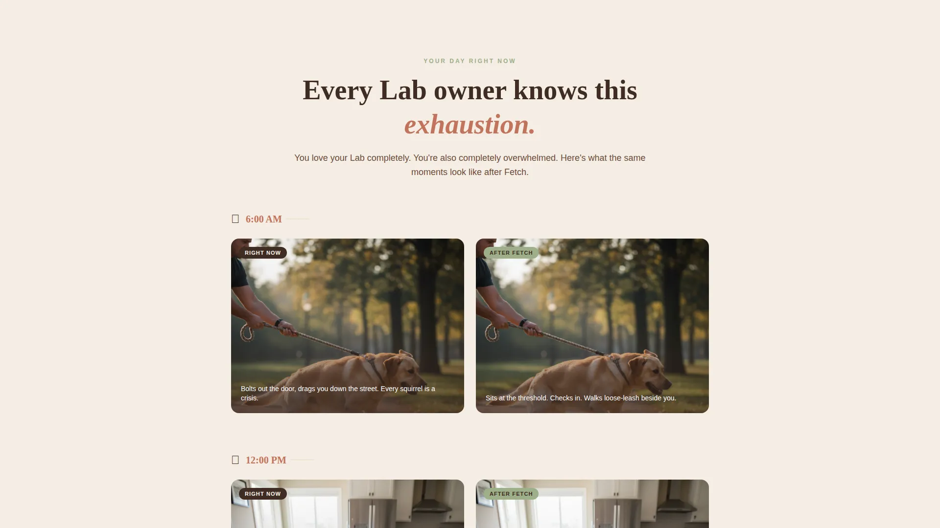 Dog Professional Website Template