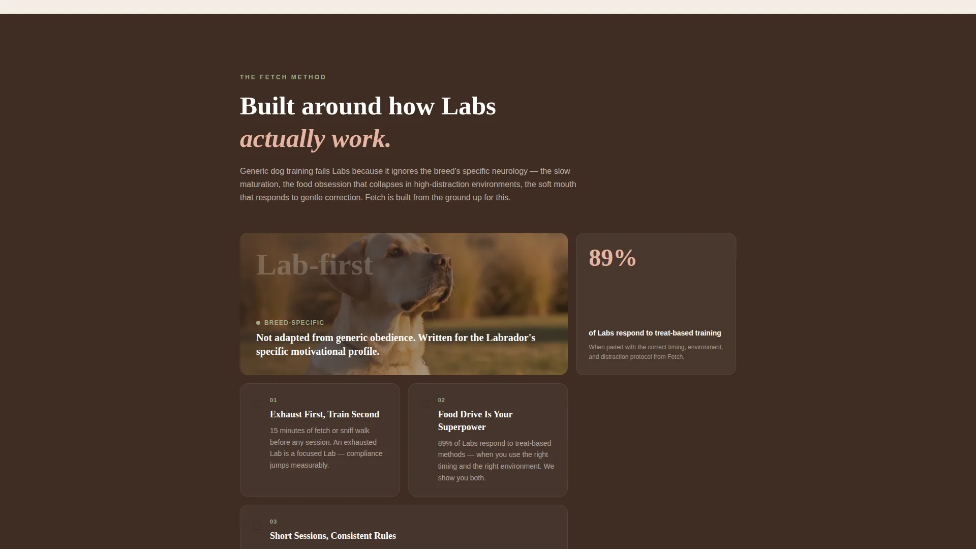 Dog Professional Website Template