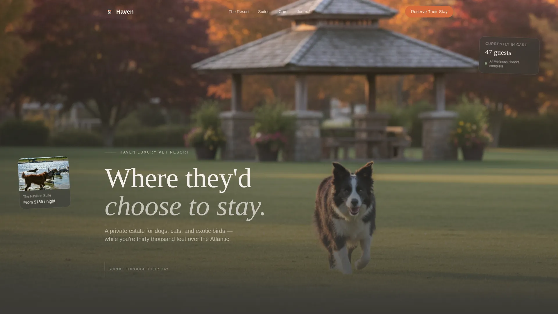 Expert Pet Boarding & Daycare Appointment Booking Website Template