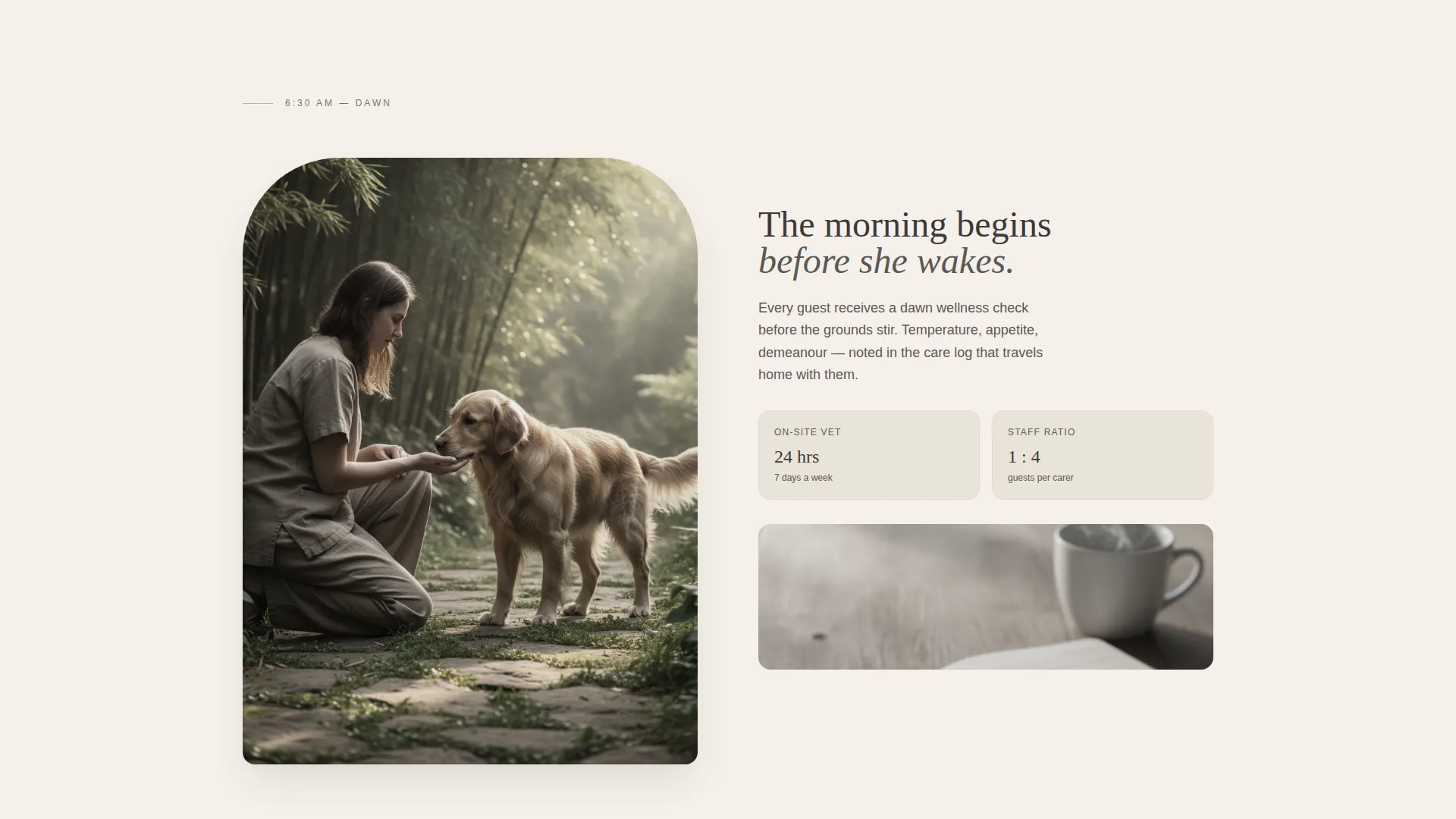Expert Pet Boarding & Daycare Appointment Booking Website Template