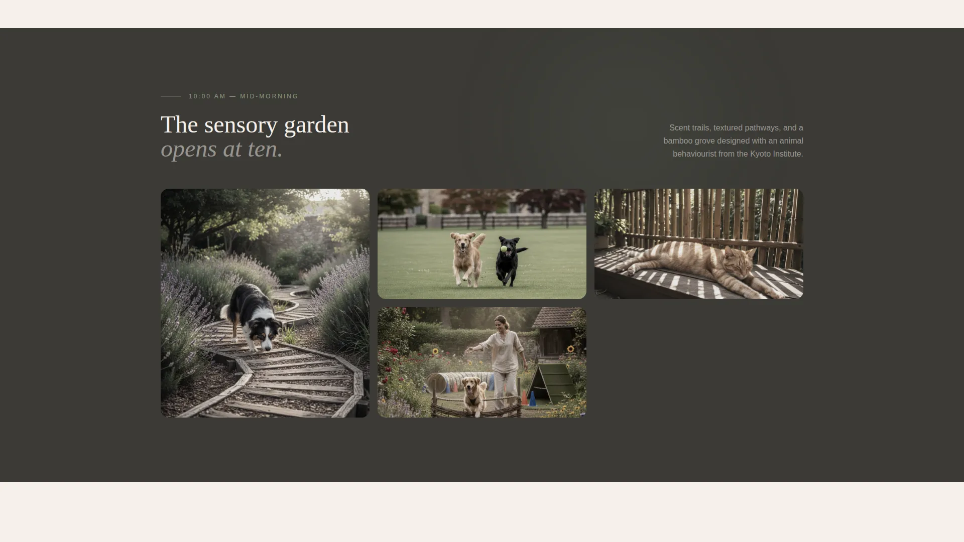 Expert Pet Boarding & Daycare Appointment Booking Website Template