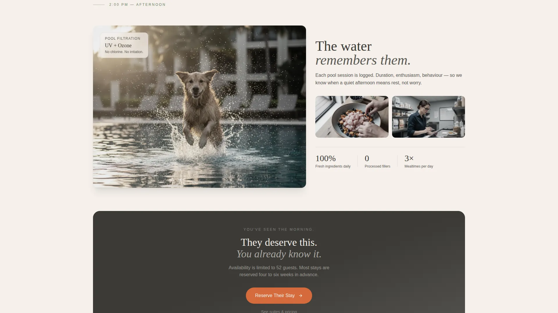 Expert Pet Boarding & Daycare Appointment Booking Website Template