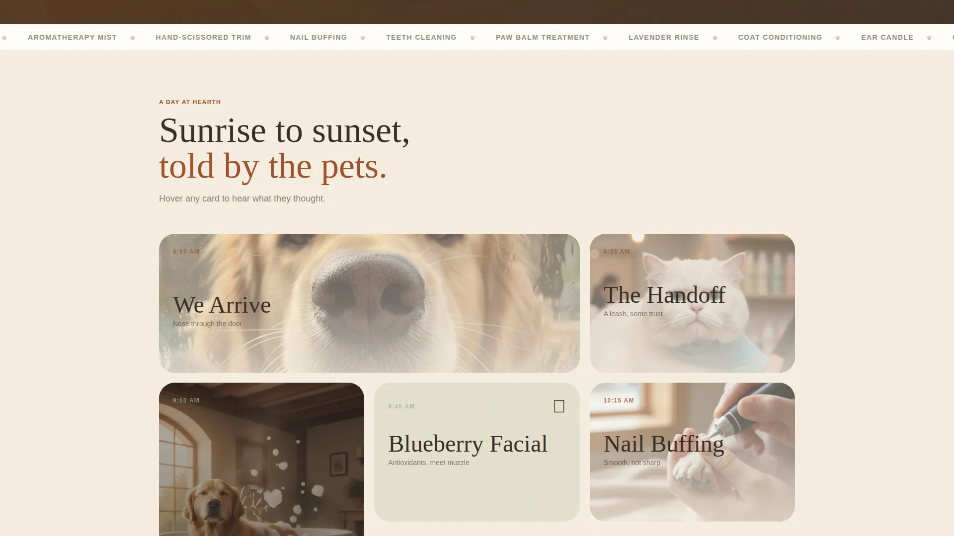 Luxury Pet Spa Landing Page Template