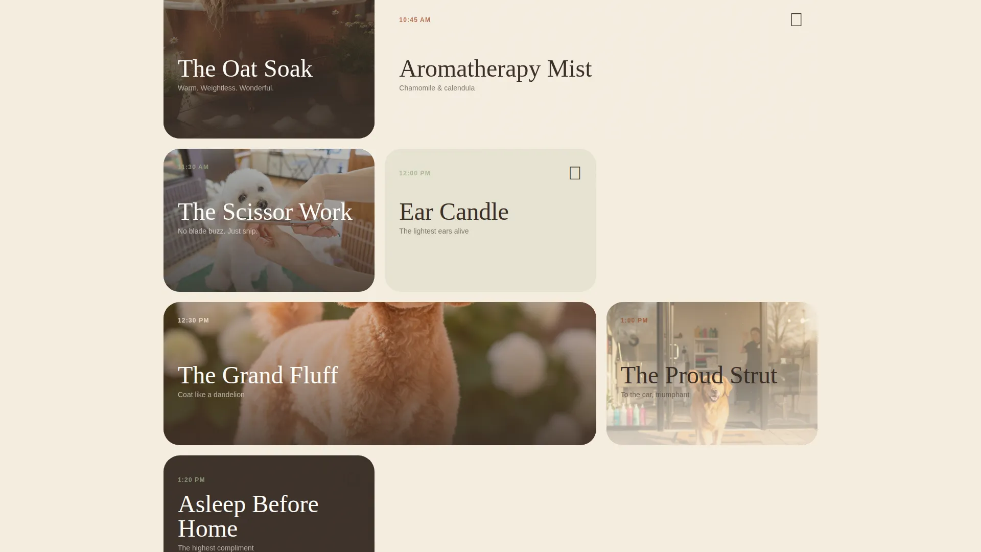 Luxury Pet Spa Landing Page Template