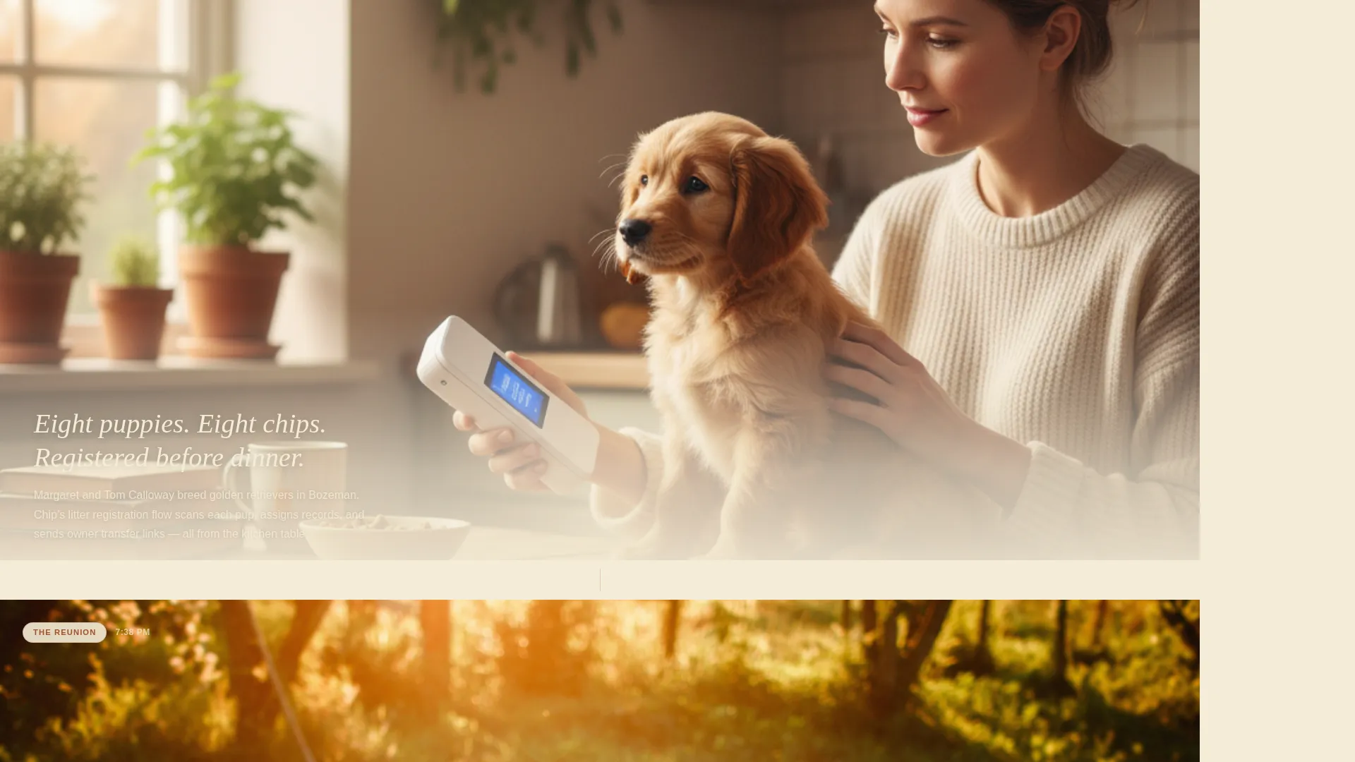 Pet Microchip Scanner & Registry Landing Page Template