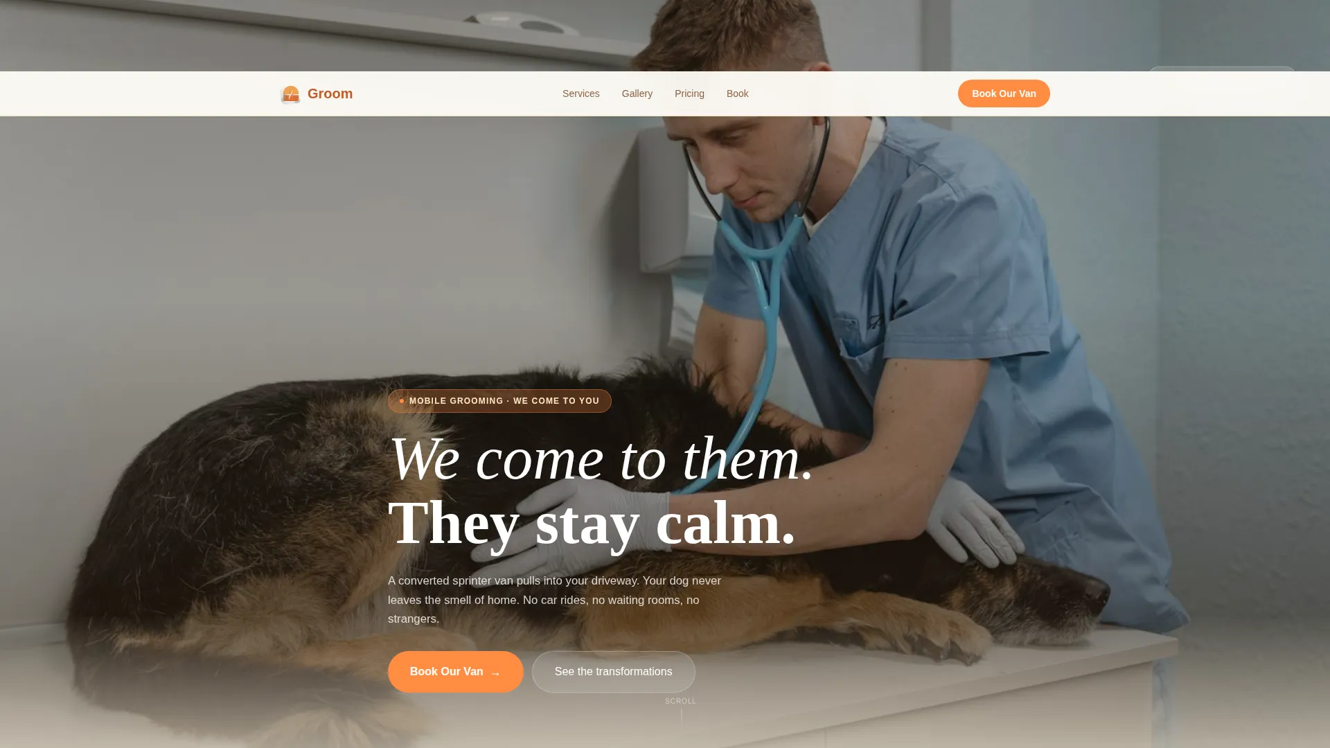 Mobile Pet Grooming Landing Page Template