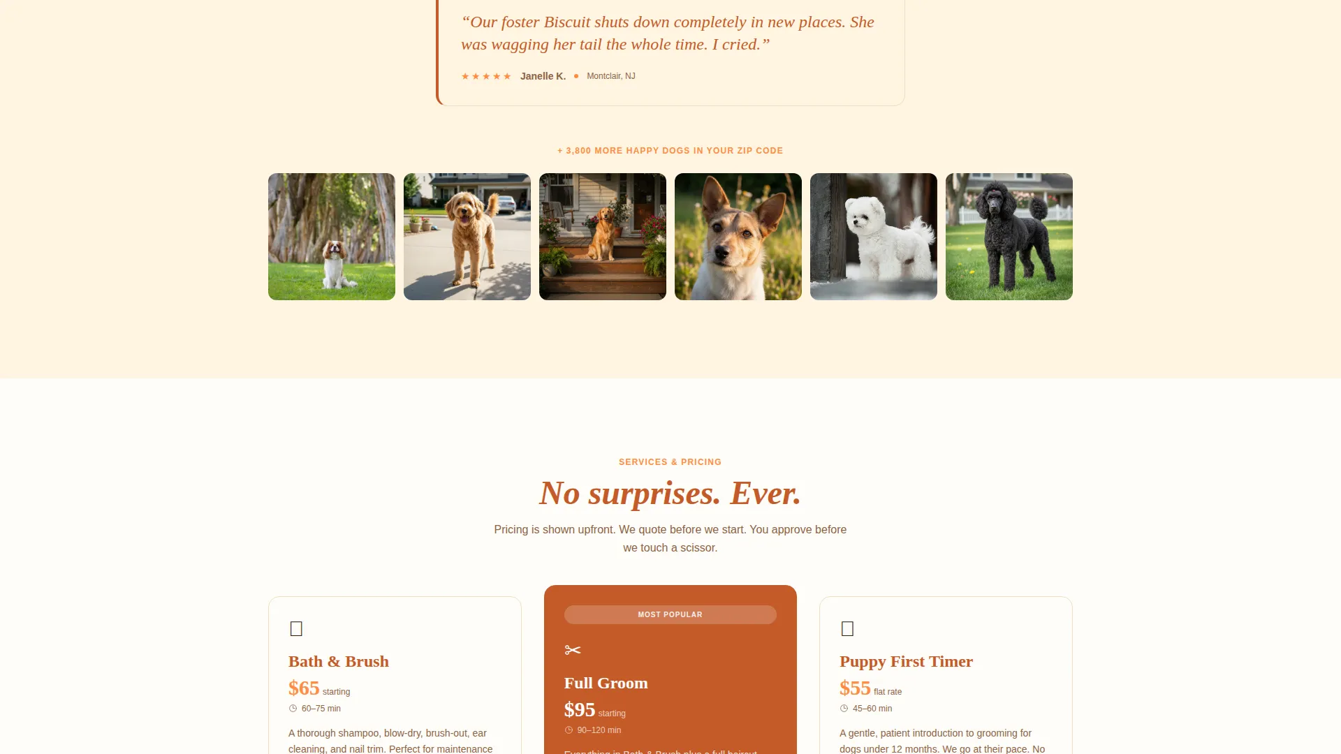 Mobile Pet Grooming Landing Page Template