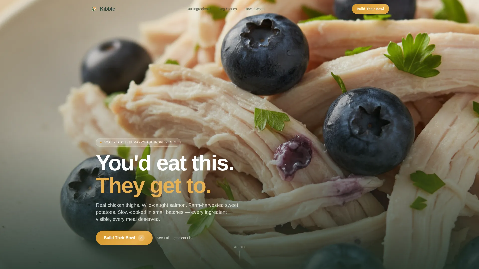 Natural Pet Food Landing Page Template