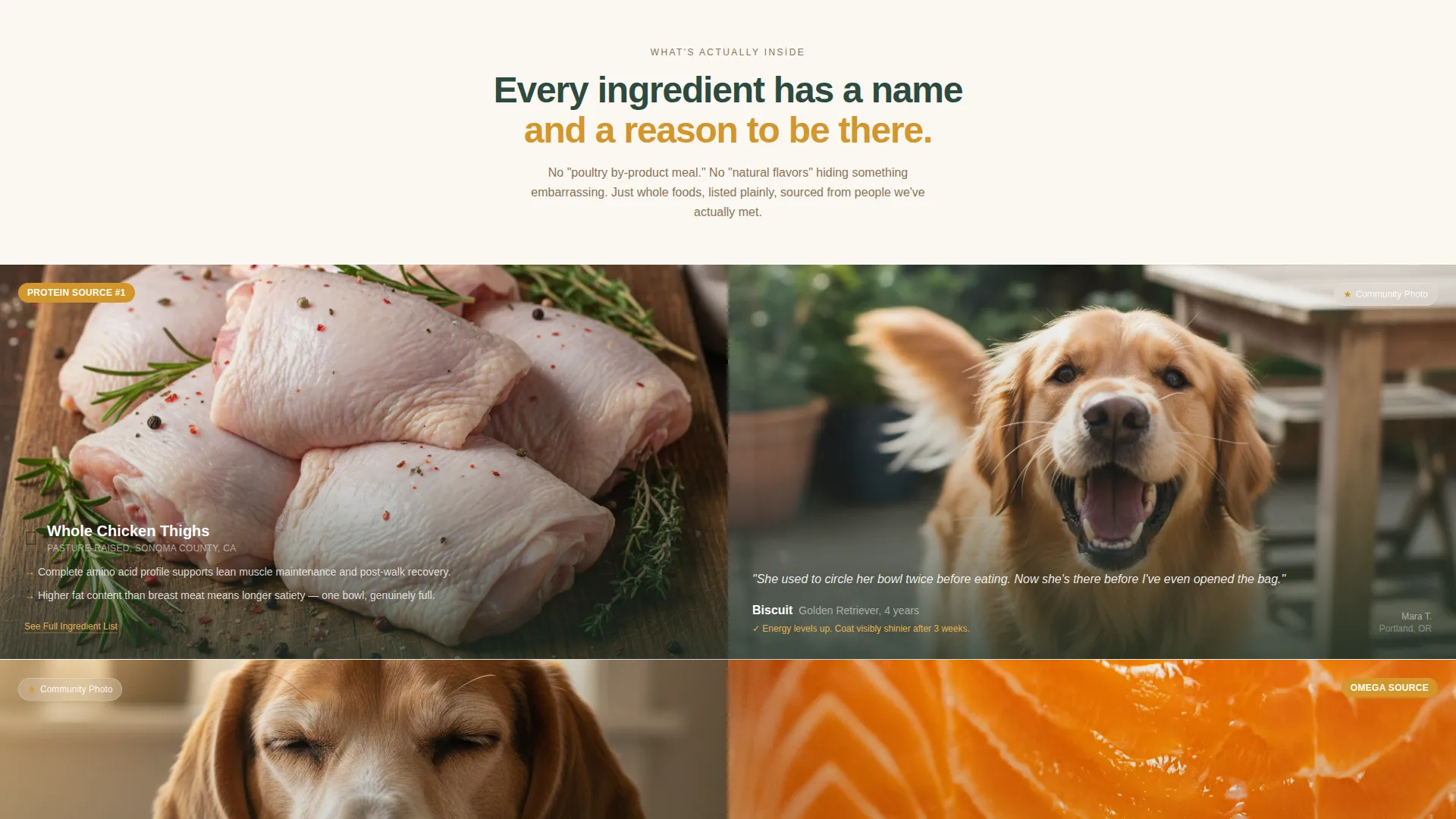 Natural Pet Food Landing Page Template