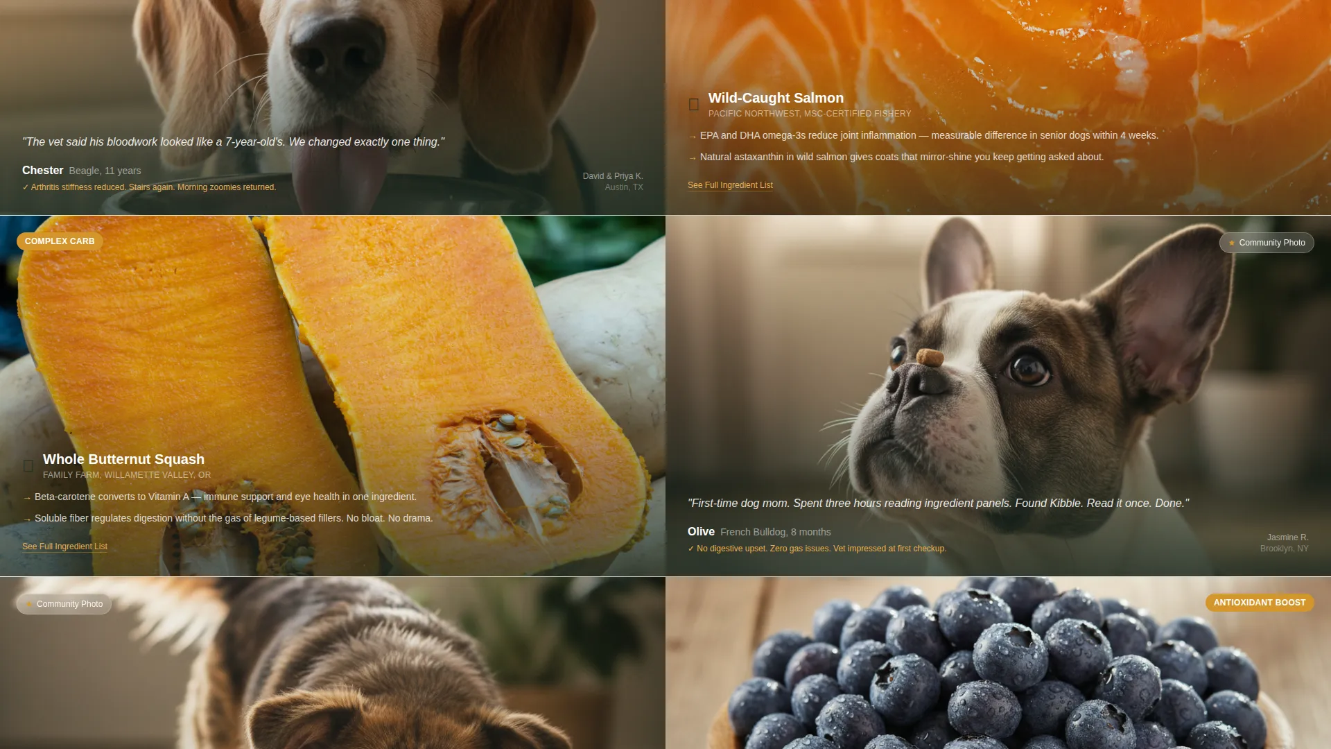 Natural Pet Food Landing Page Template