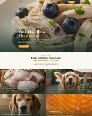 Natural Pet Food Landing Page Template