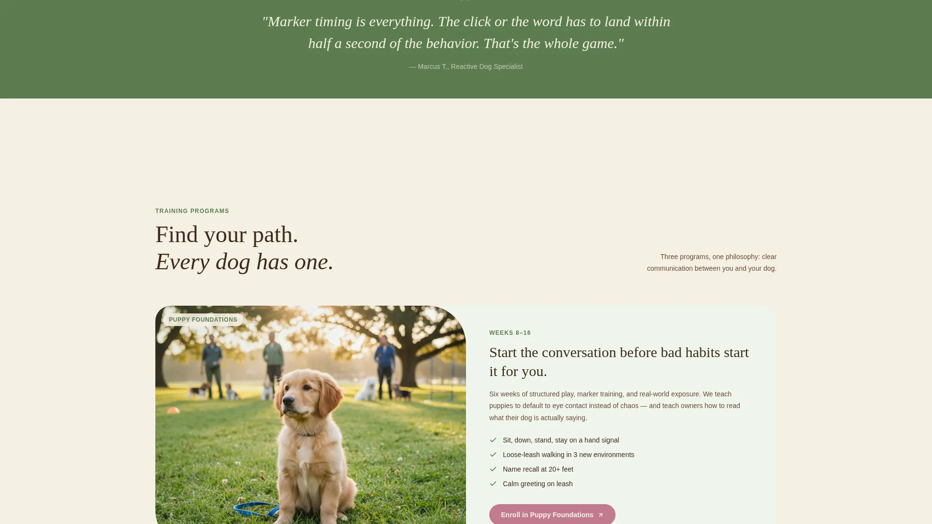 Specialist Pet Training & Behavior Portfolio & Case Study Website Template