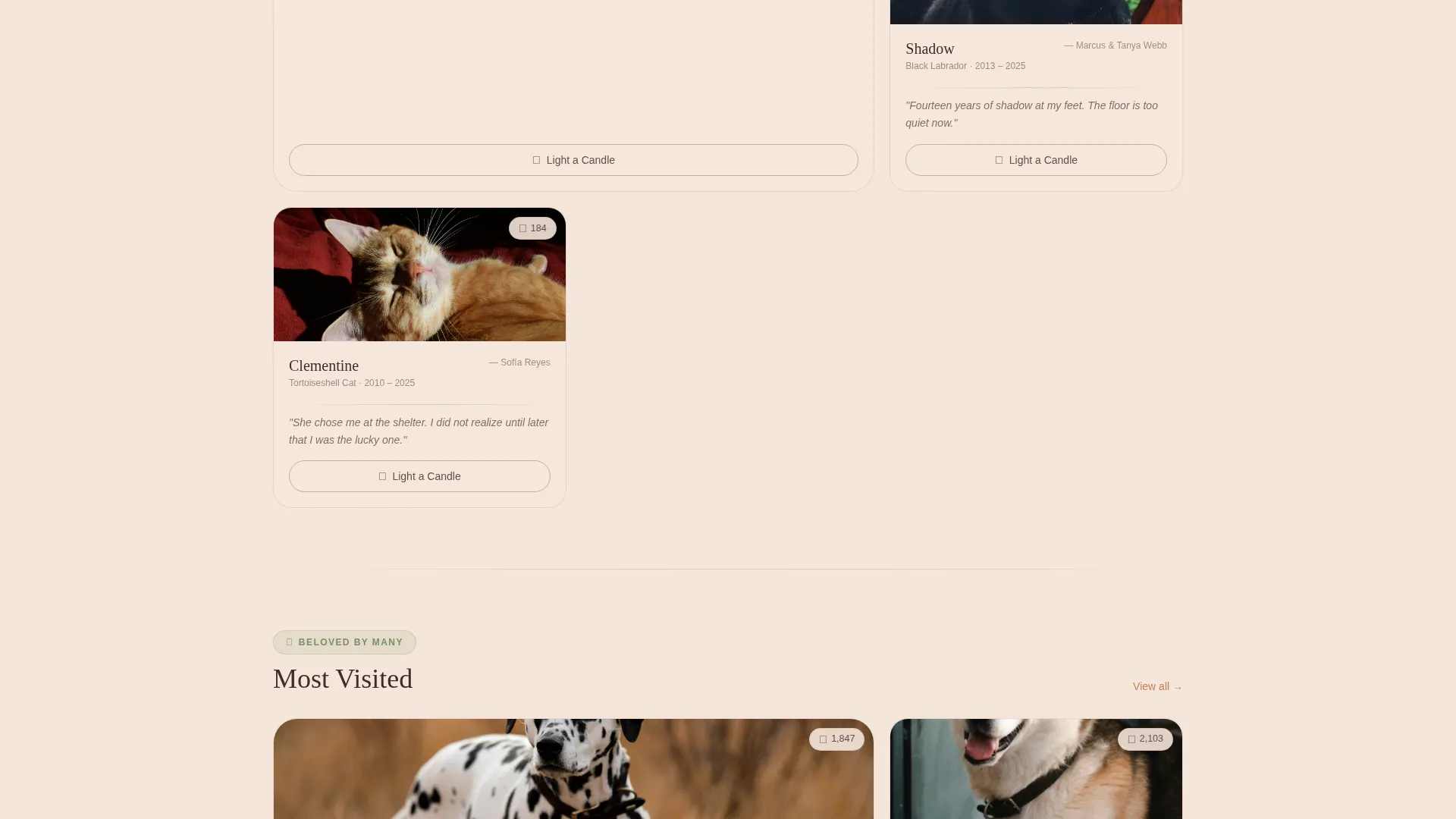Landing Page Template for Online Pet Memorials