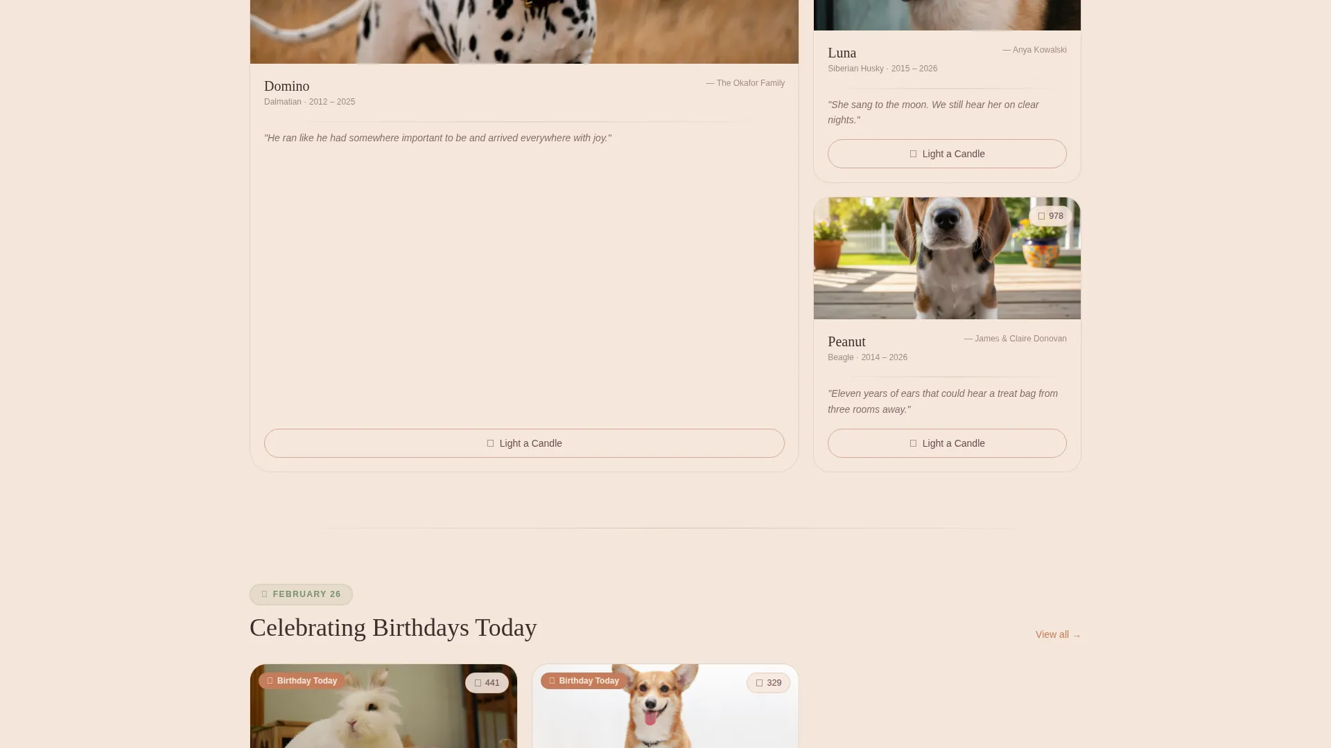 Landing Page Template for Online Pet Memorials