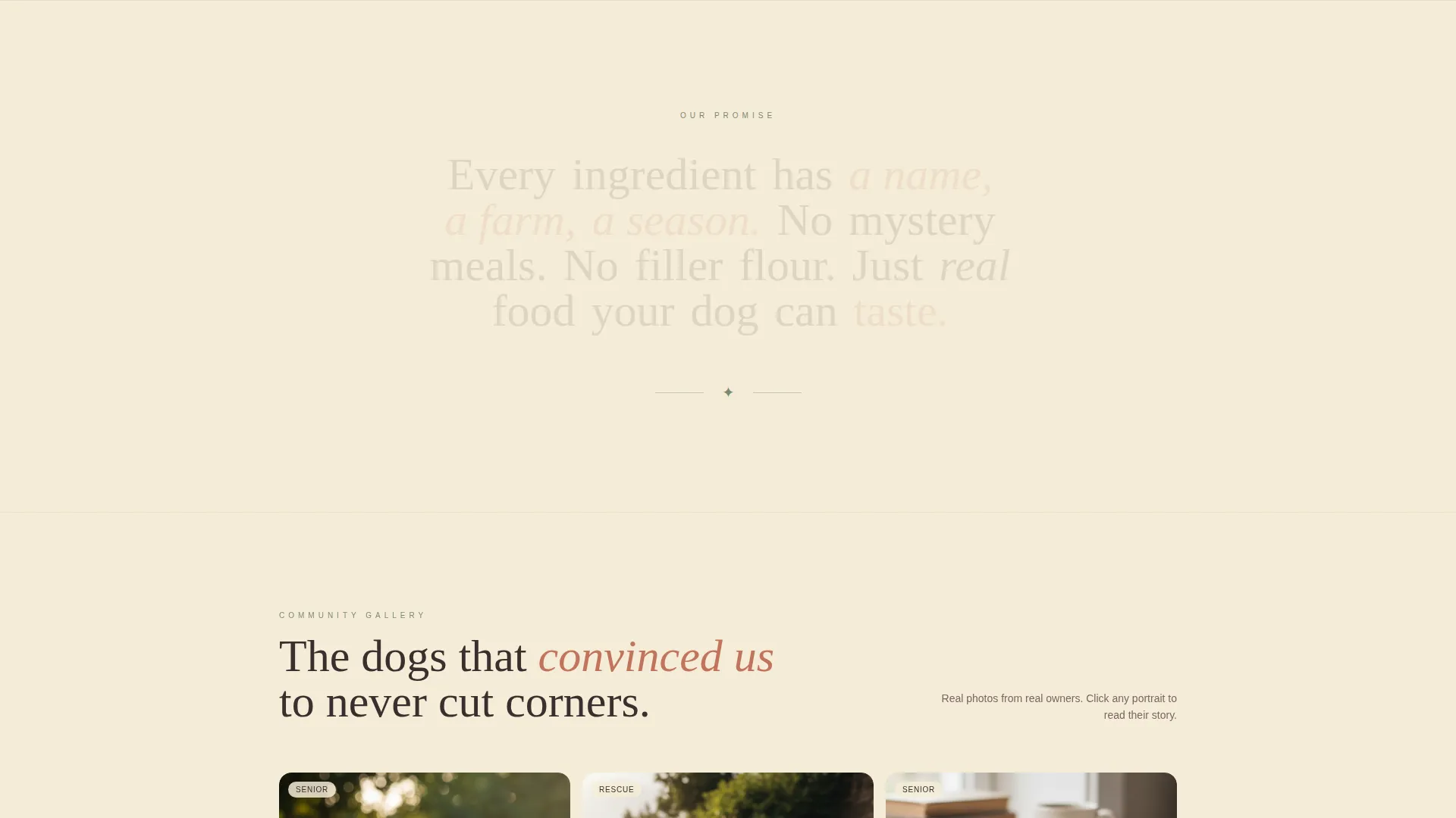 Artisan Pet Food Landing Page Template