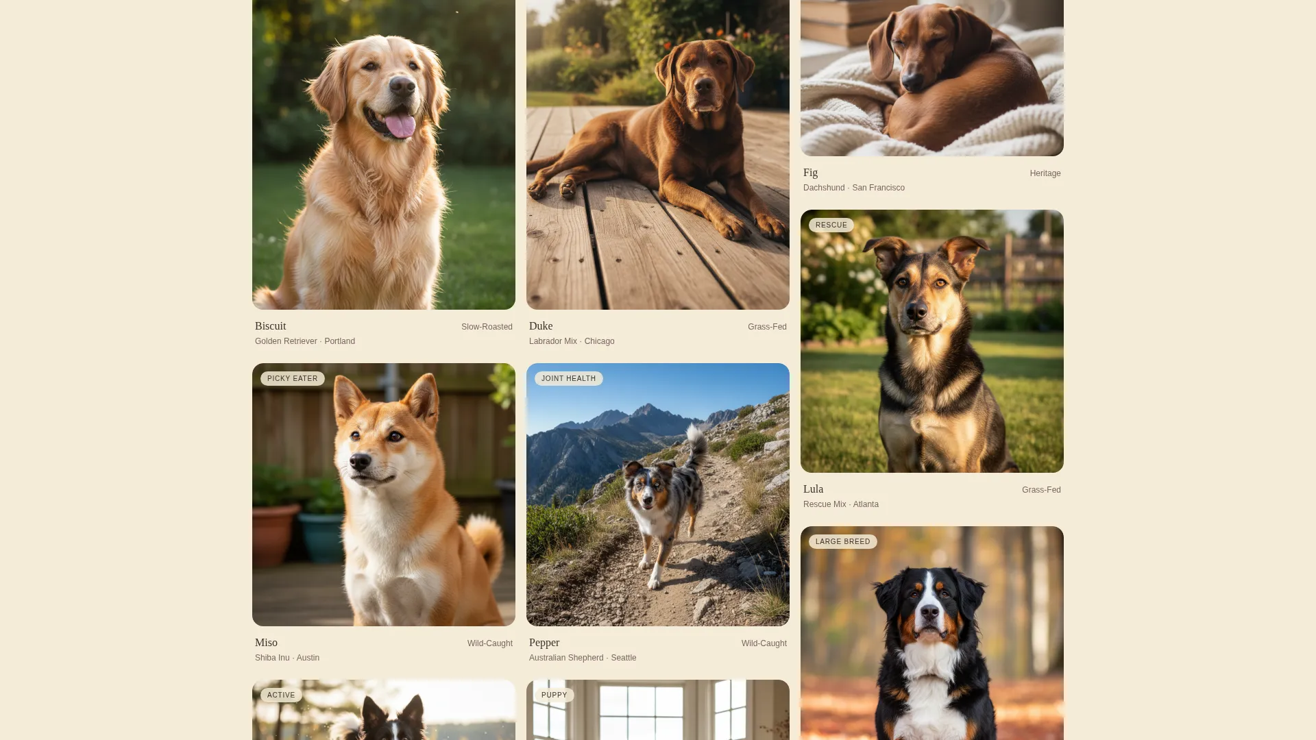 Artisan Pet Food Landing Page Template