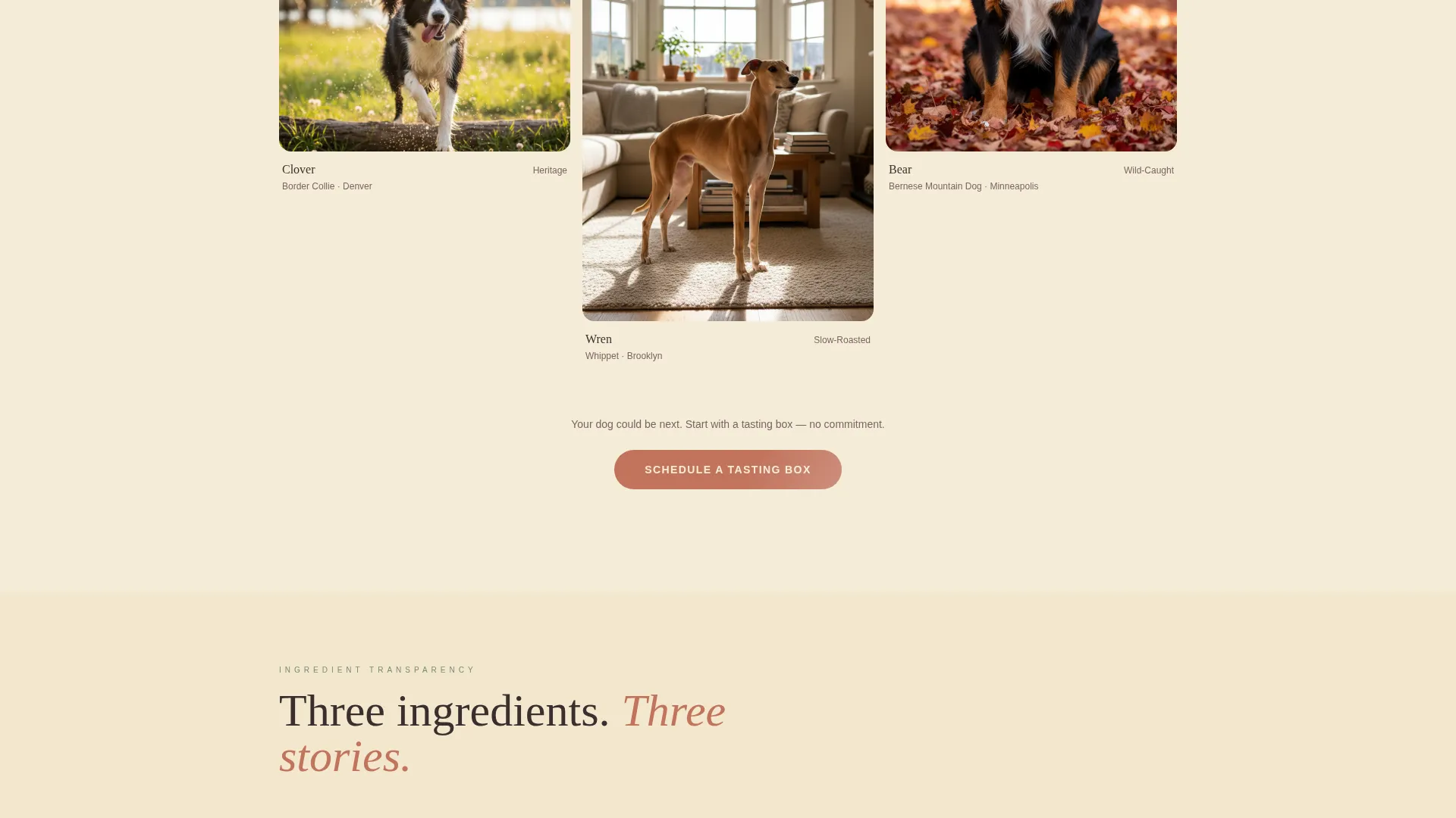 Artisan Pet Food Landing Page Template