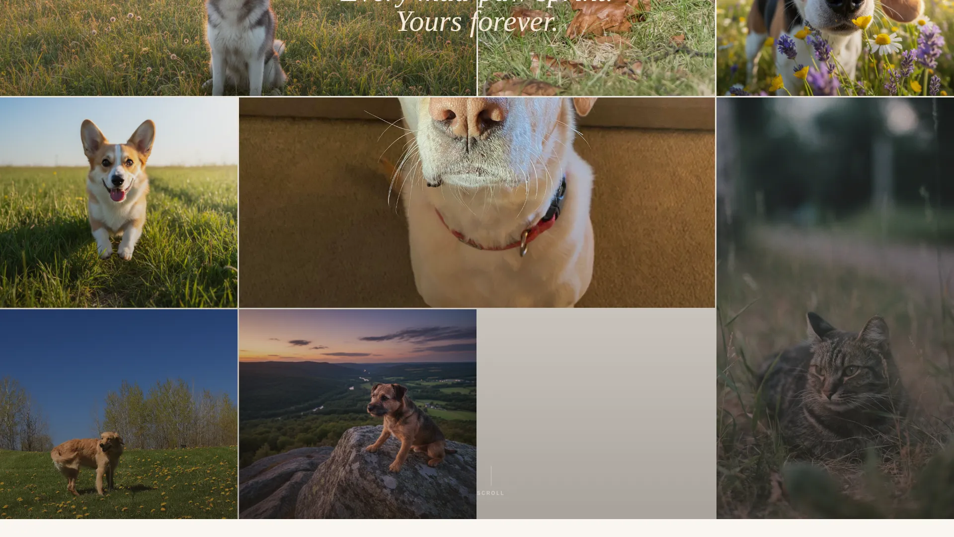 Outdoor Pet Photography Landing Page Template