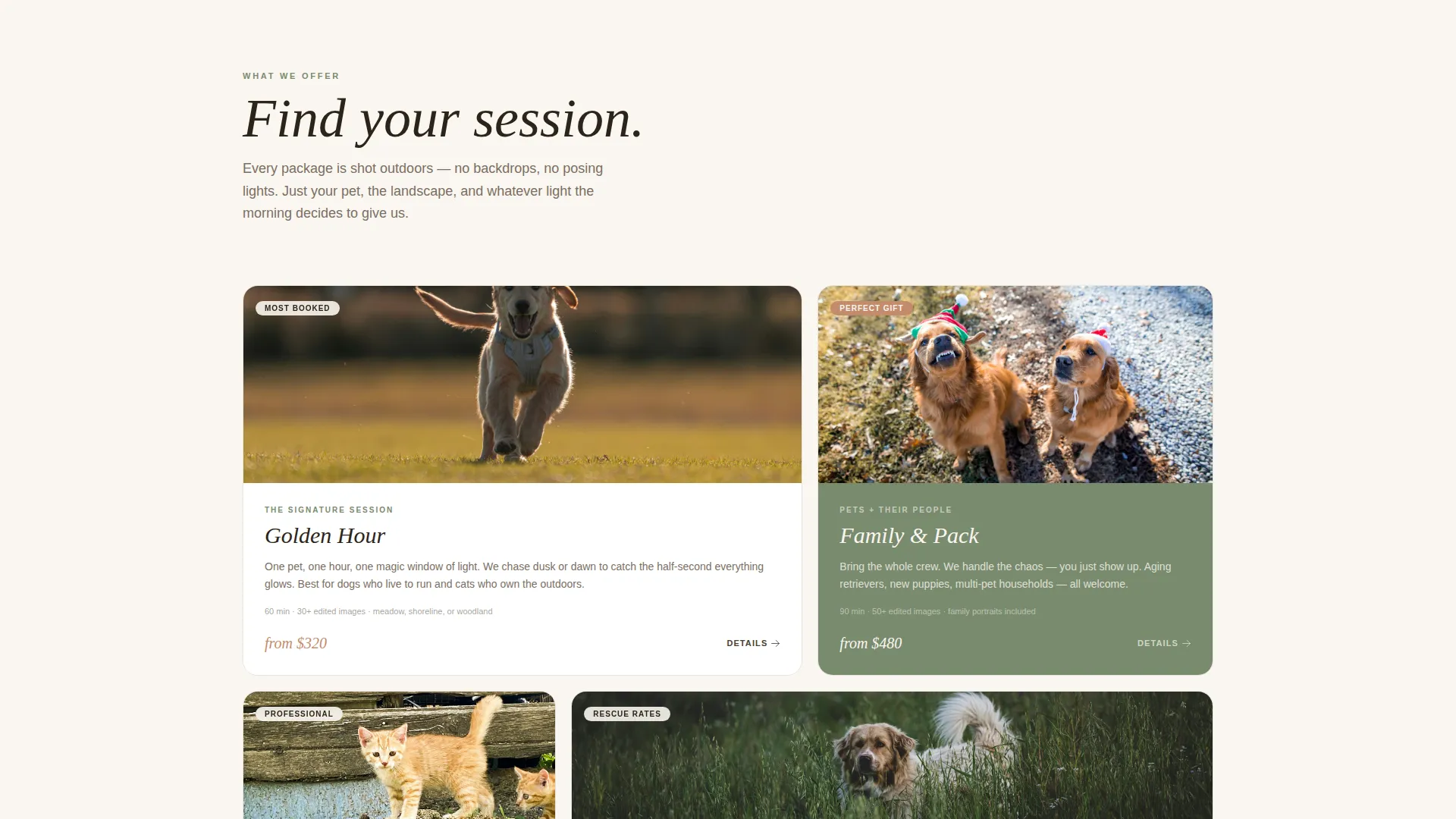 Outdoor Pet Photography Landing Page Template