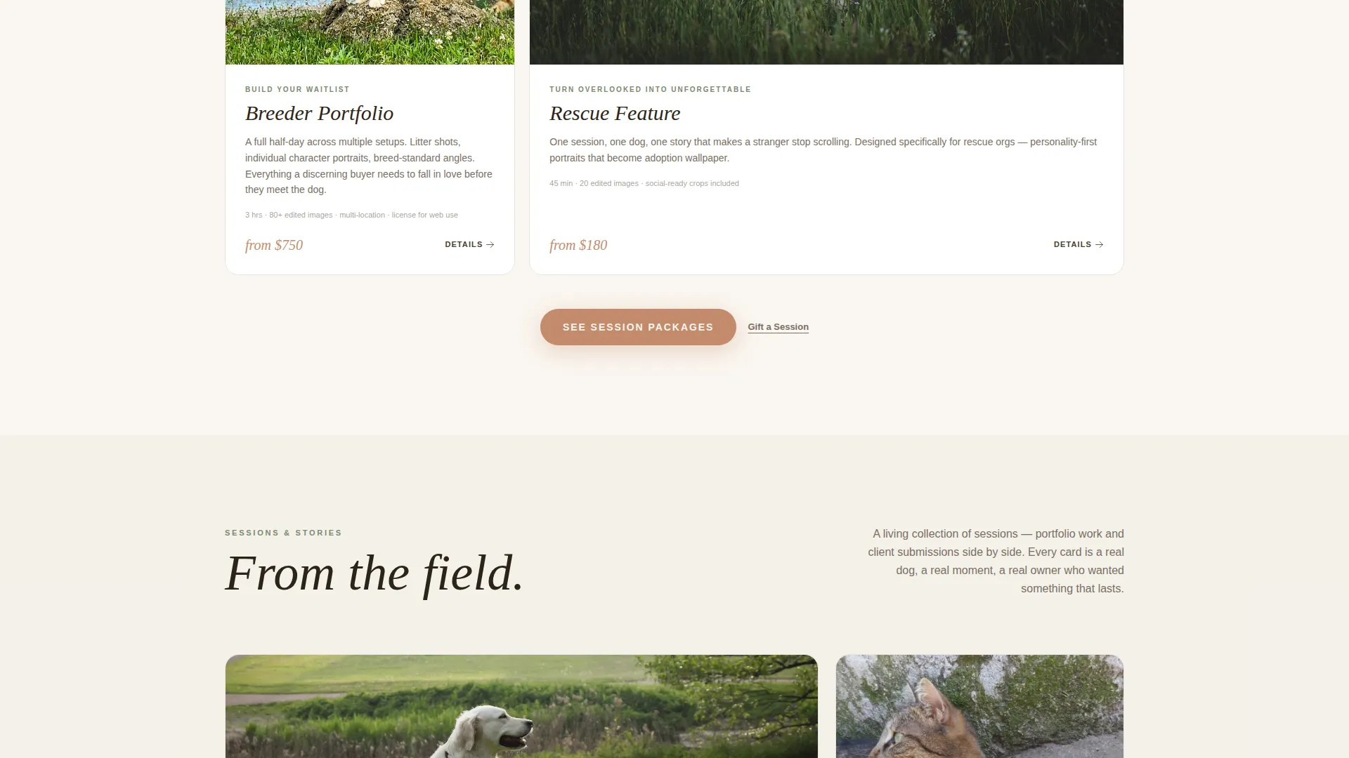 Outdoor Pet Photography Landing Page Template