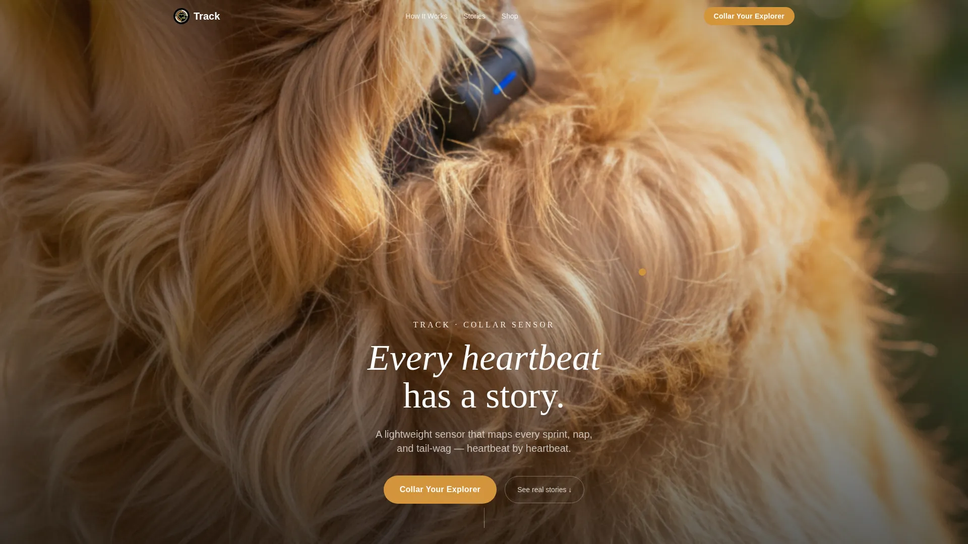 Pet Activity Tracker Landing Page Template