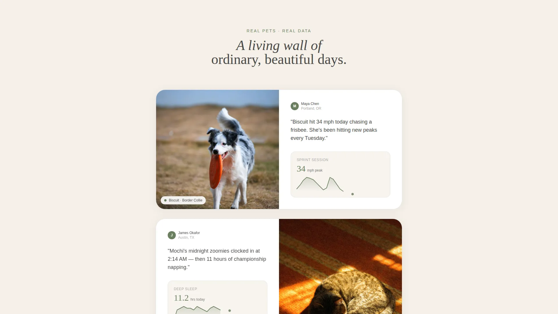 Pet Activity Tracker Landing Page Template