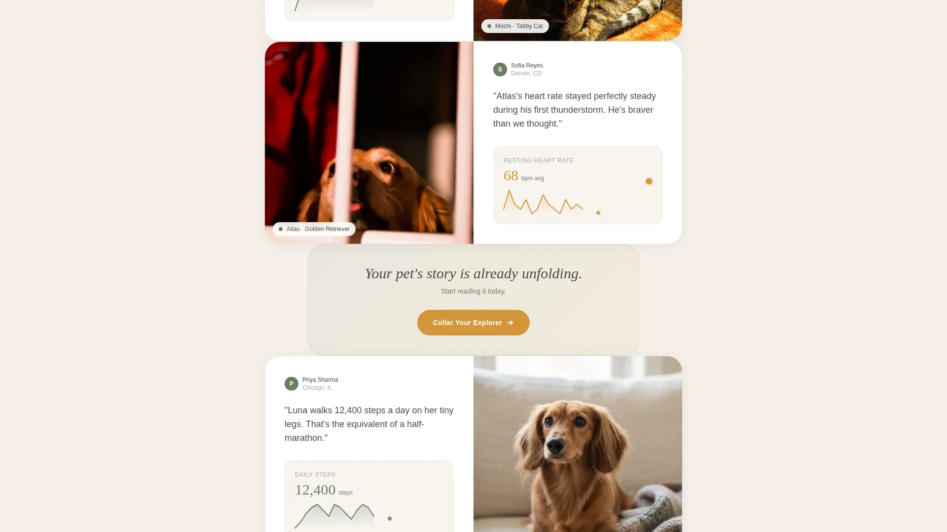 Pet Activity Tracker Landing Page Template