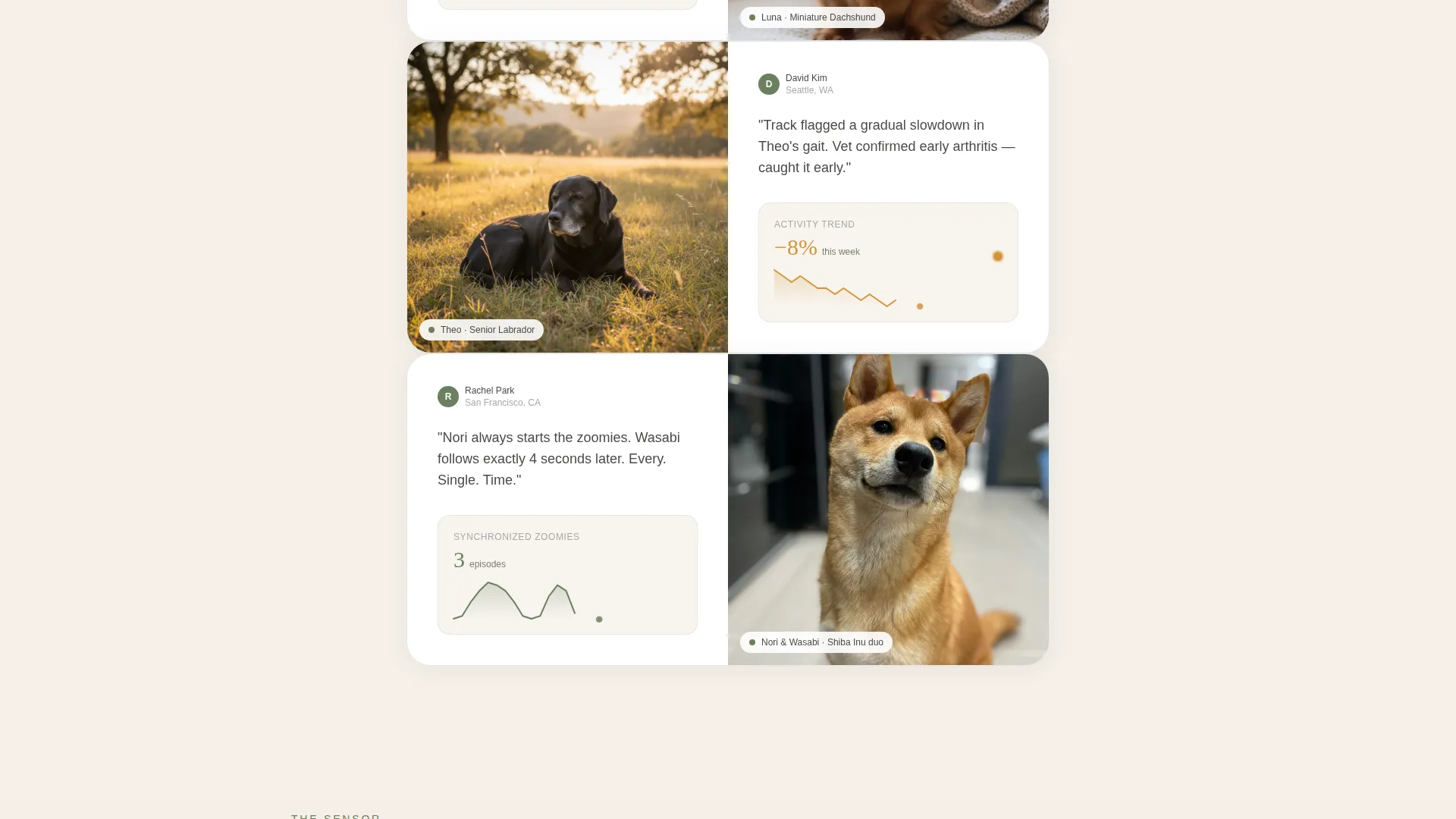 Pet Activity Tracker Landing Page Template