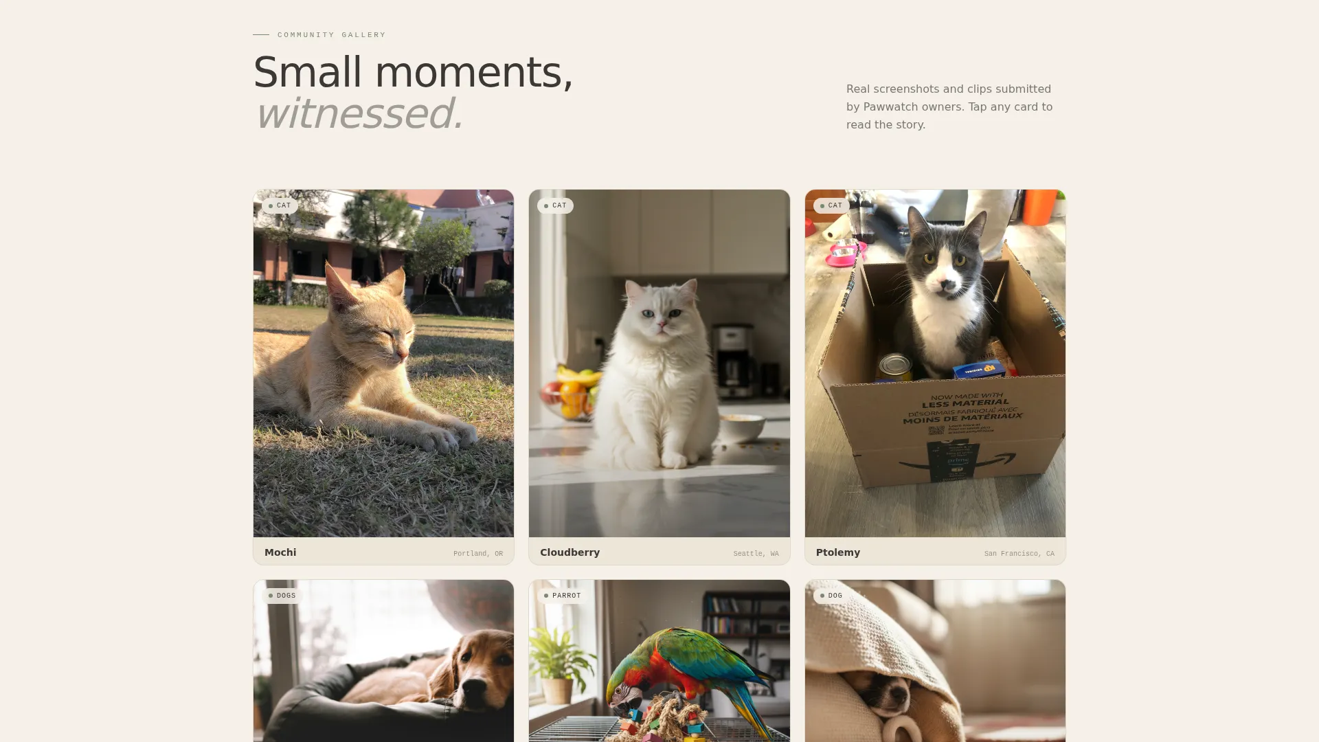 Pet Camera Monitor Landing Page Template