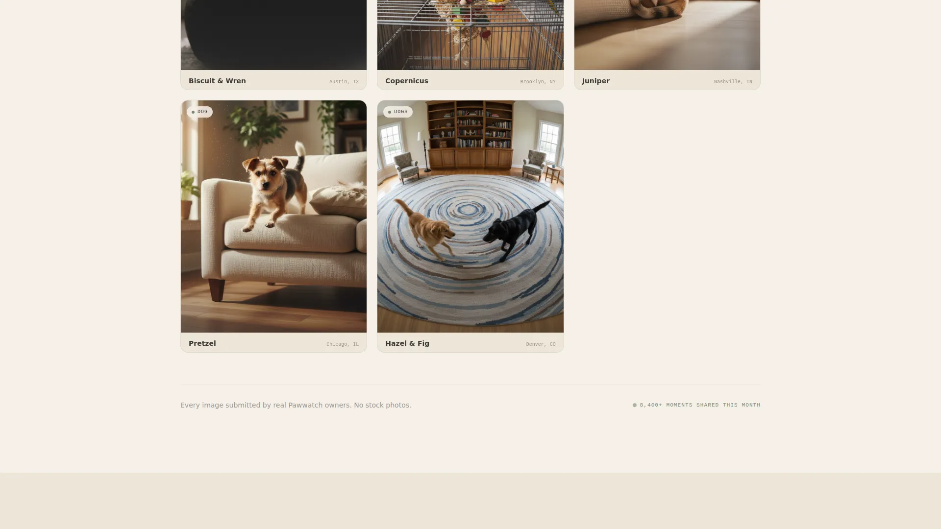 Pet Camera Monitor Landing Page Template
