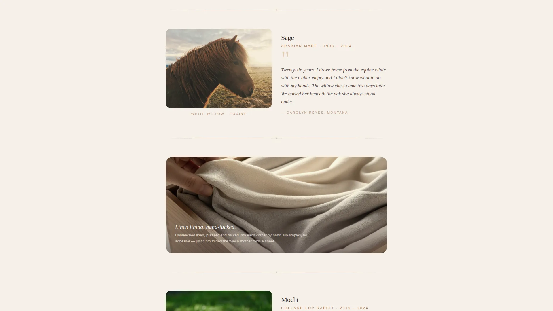 Handcrafted Pet Casket Landing Page Template