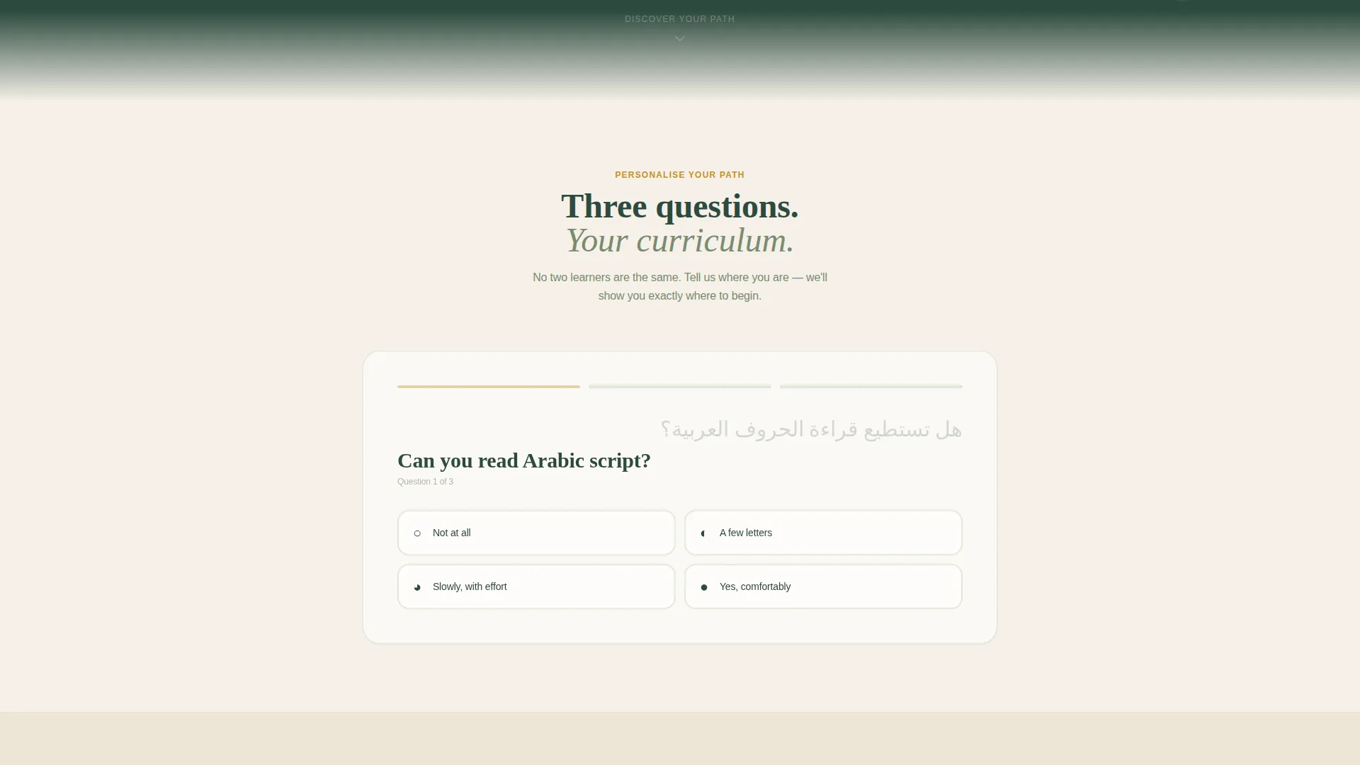 Immersive Arabic Language Center Landing Page