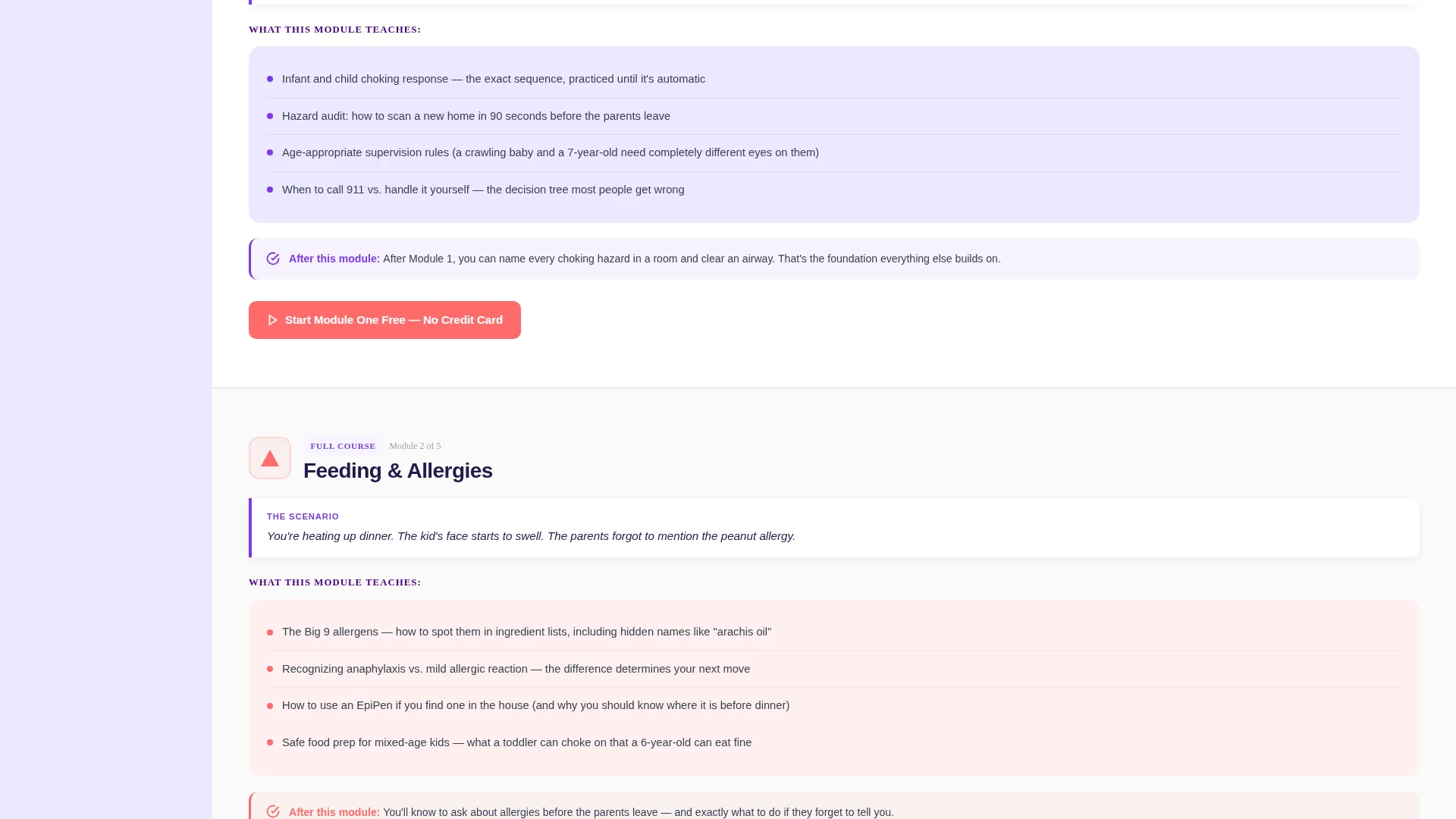 Babysitter Certification Course Landing Page Template