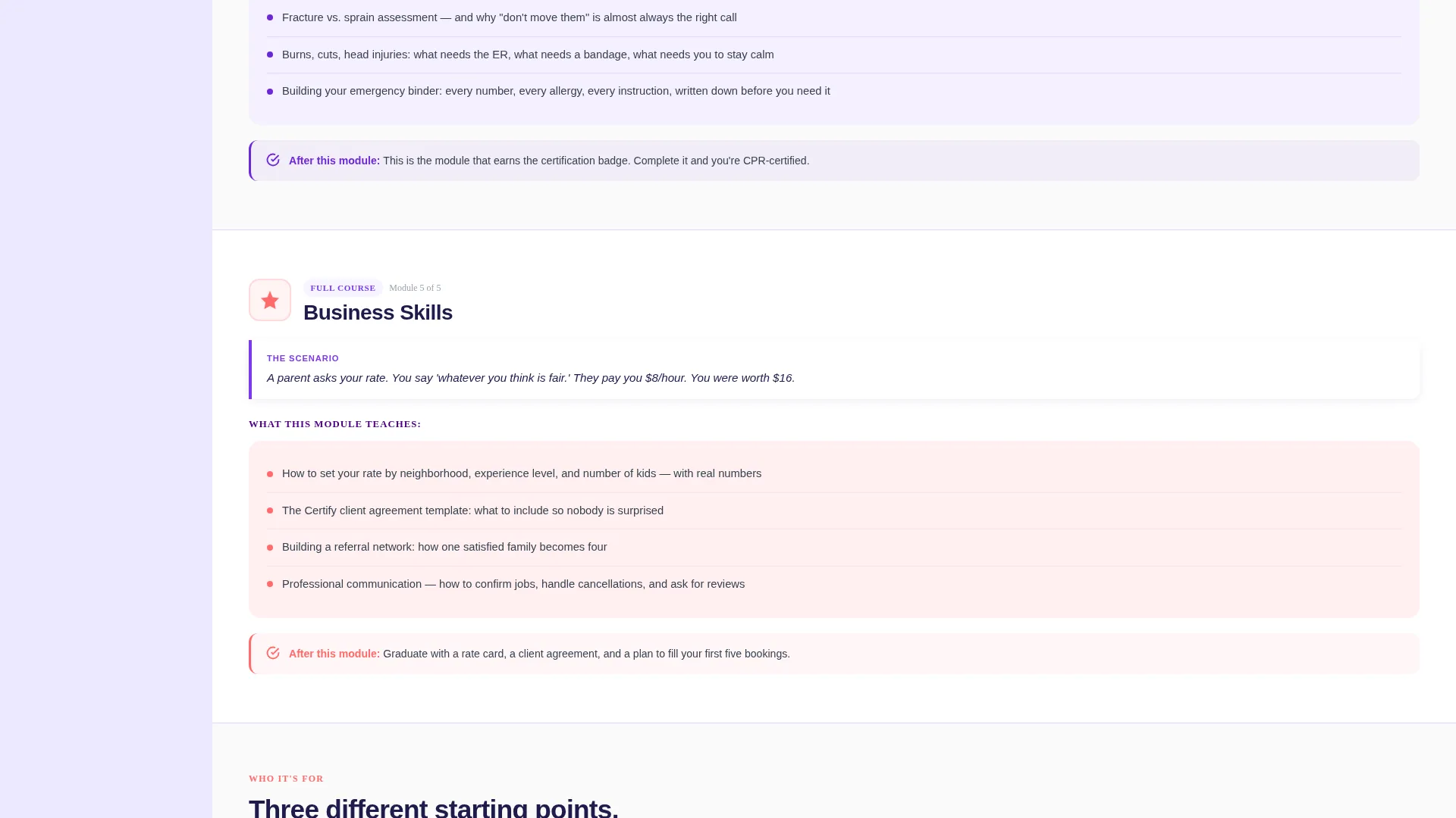 Babysitter Certification Course Landing Page Template