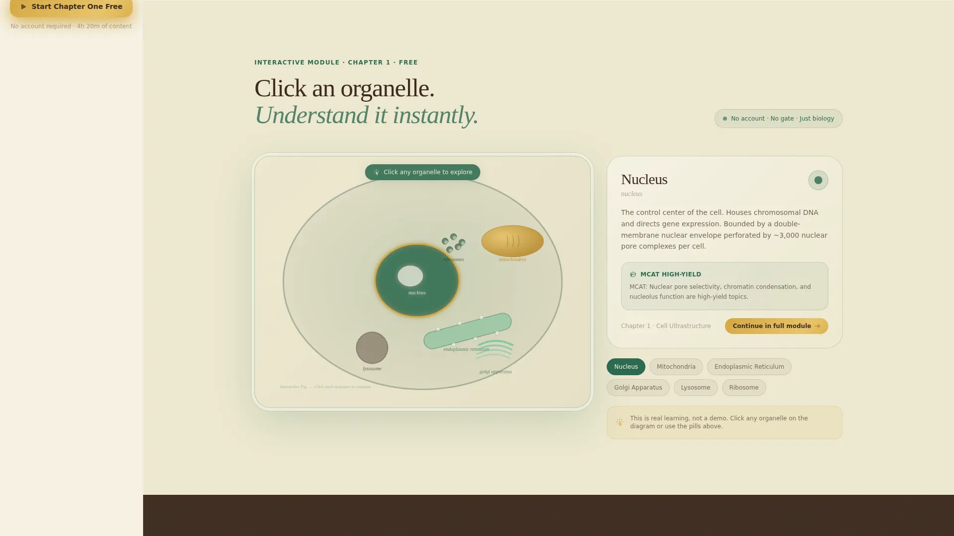Biology Landing Page Template for Online Courses