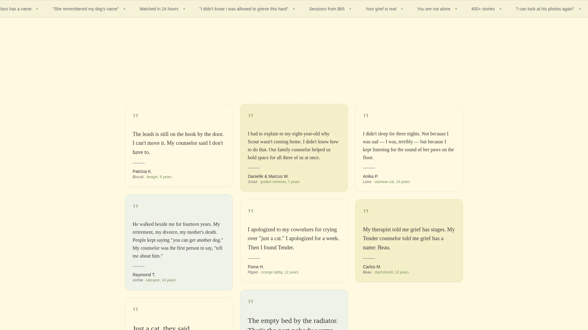 Pet Grief Counseling Landing Page Template