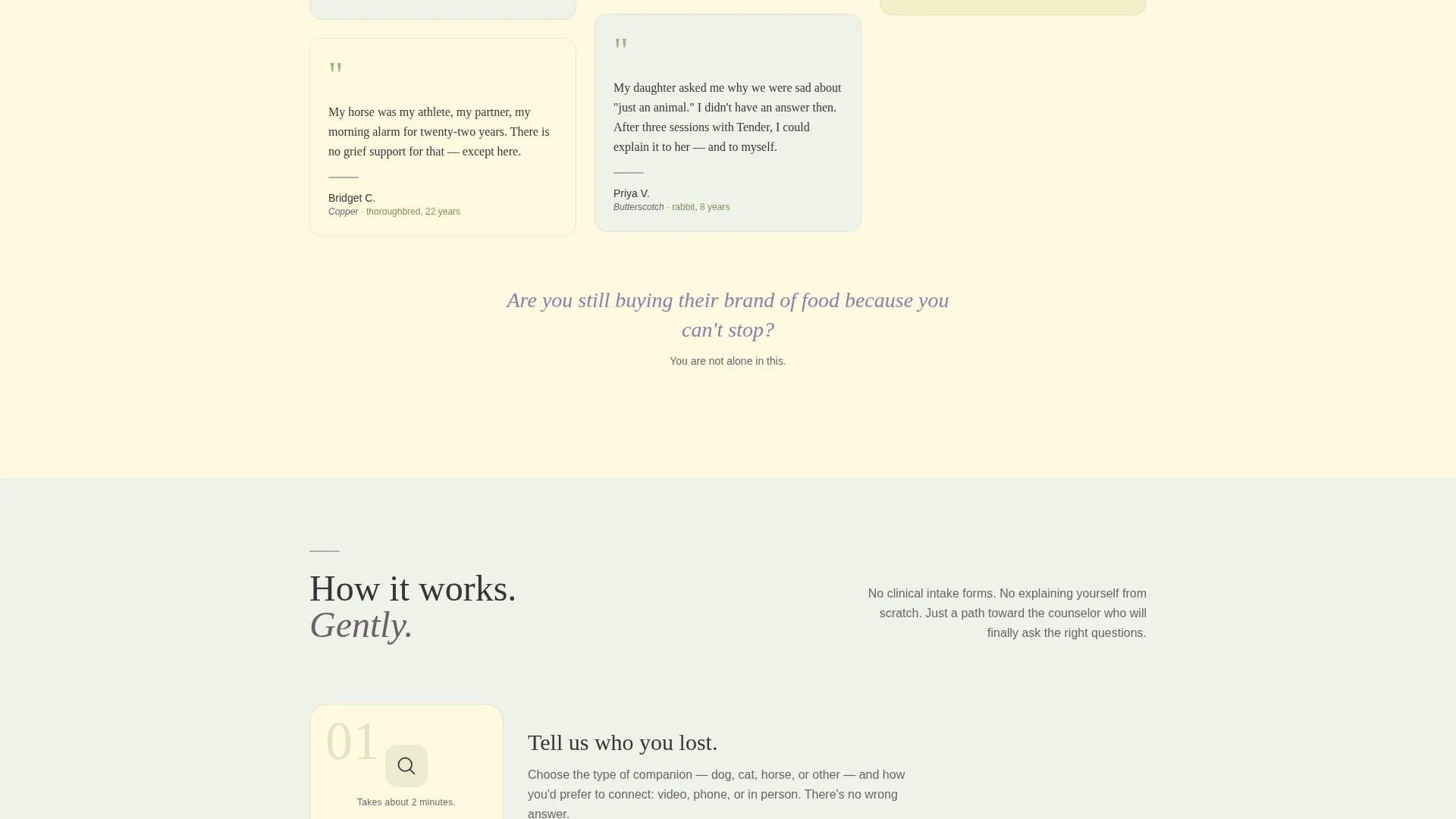 Pet Grief Counseling Landing Page Template