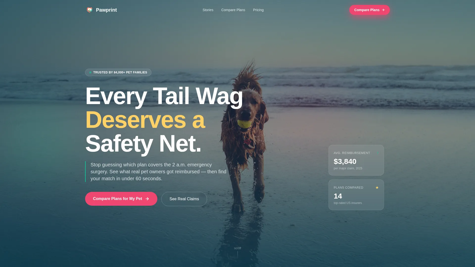 Pet Insurance & Finance Reviews Website Template