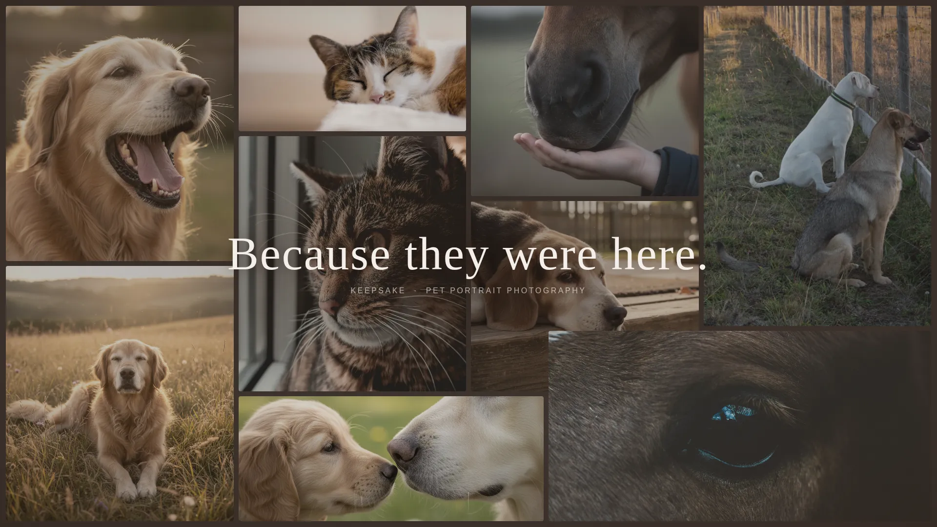 Pet Memorial Photography Booking Landing Page