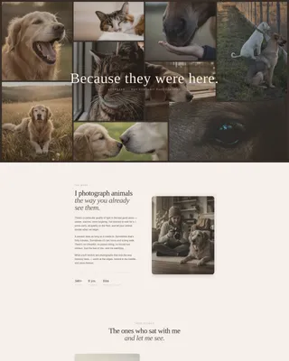 Pet Memorial Photography Booking Landing Page