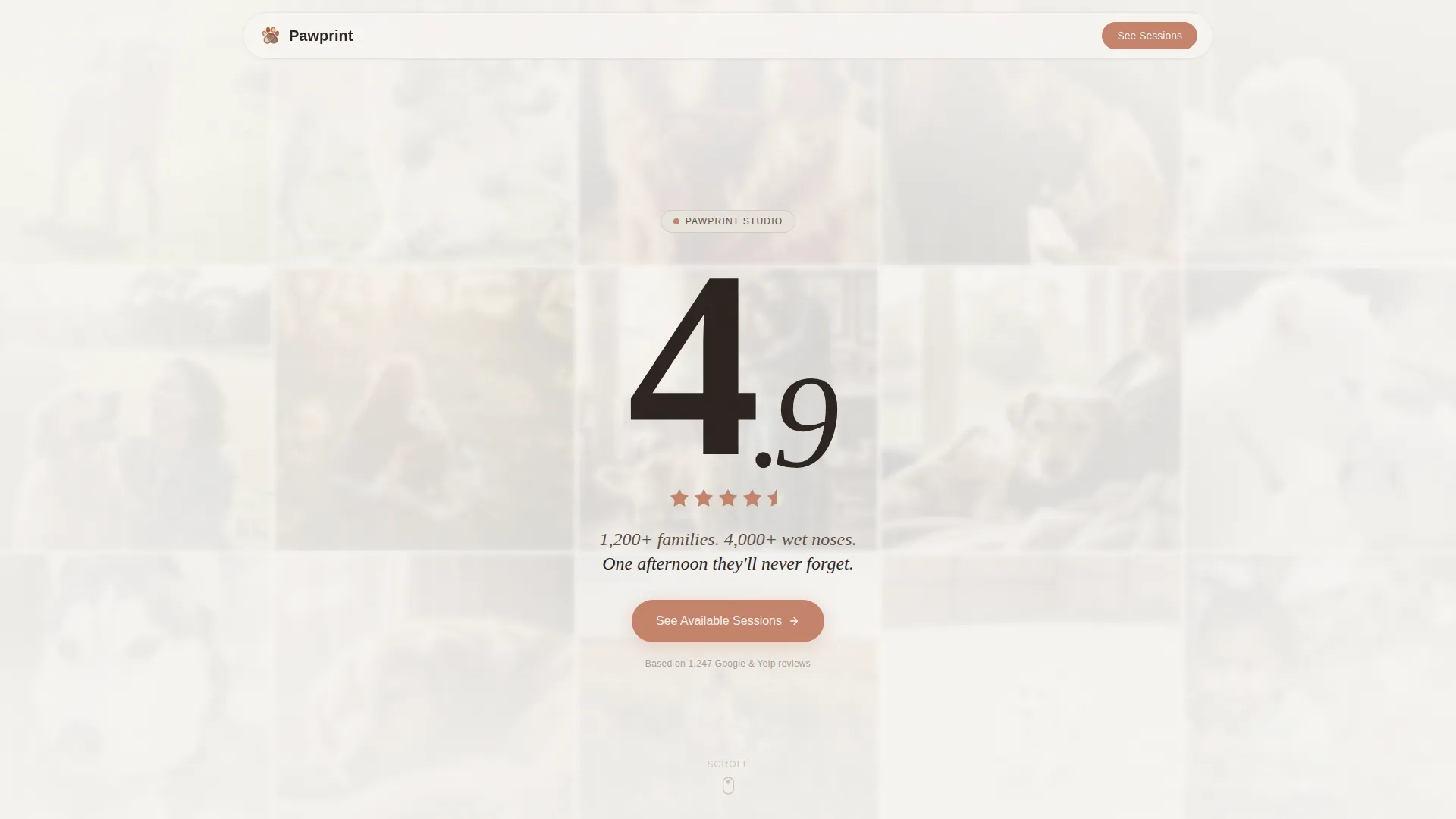 Pet Photography Booking Website Template