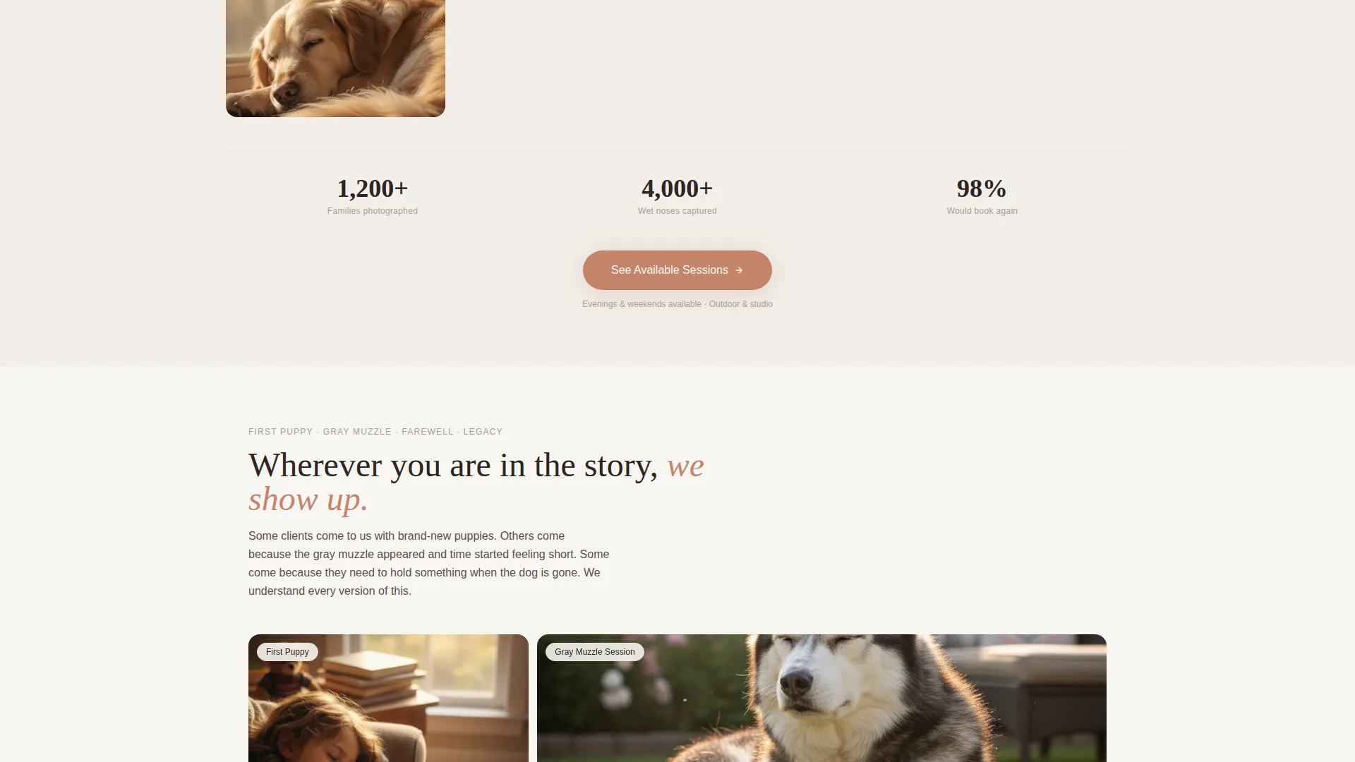 Pet Photography Booking Website Template