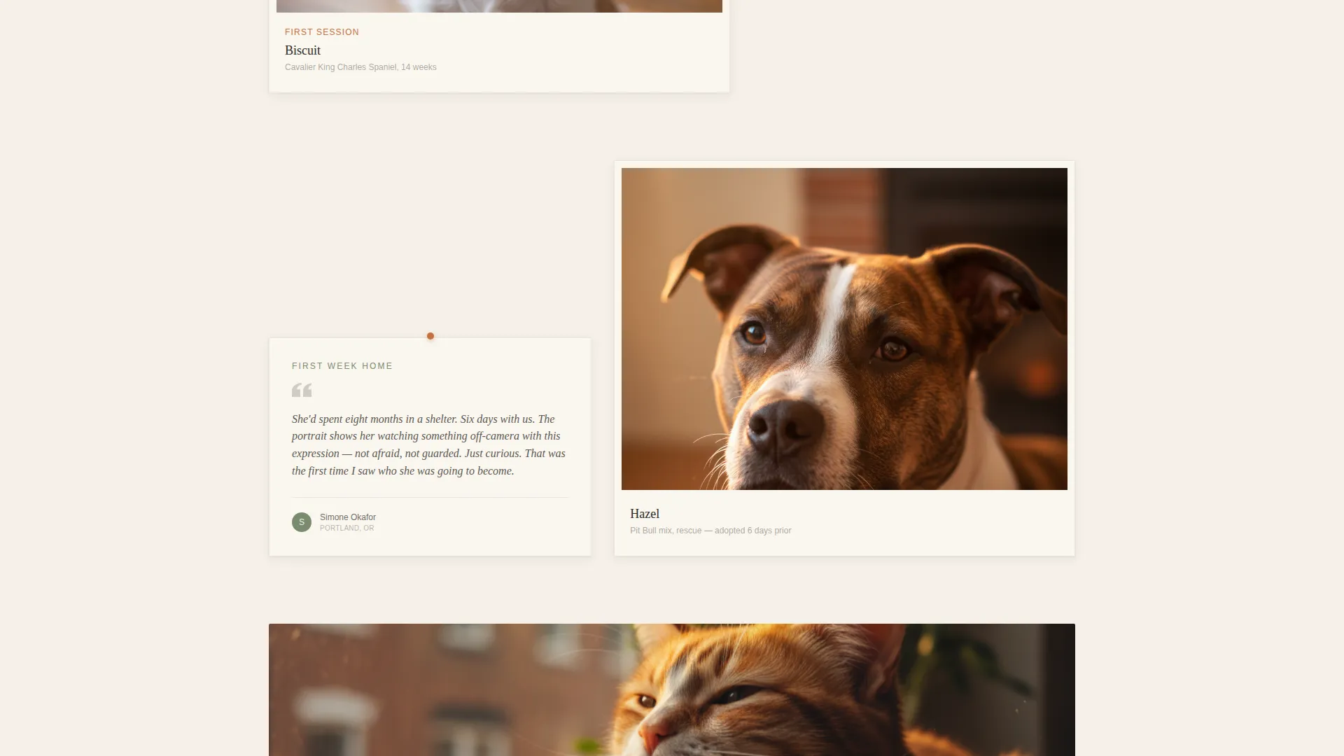 Pet Portrait Photographer Landing Page Template
