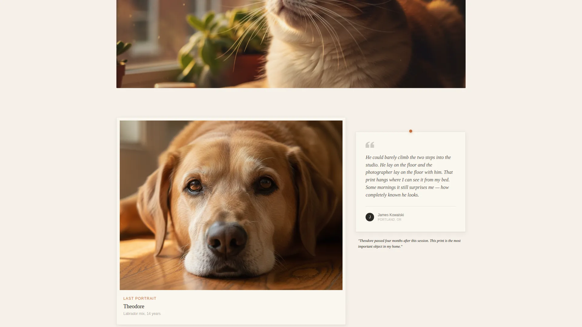 Pet Portrait Photographer Landing Page Template