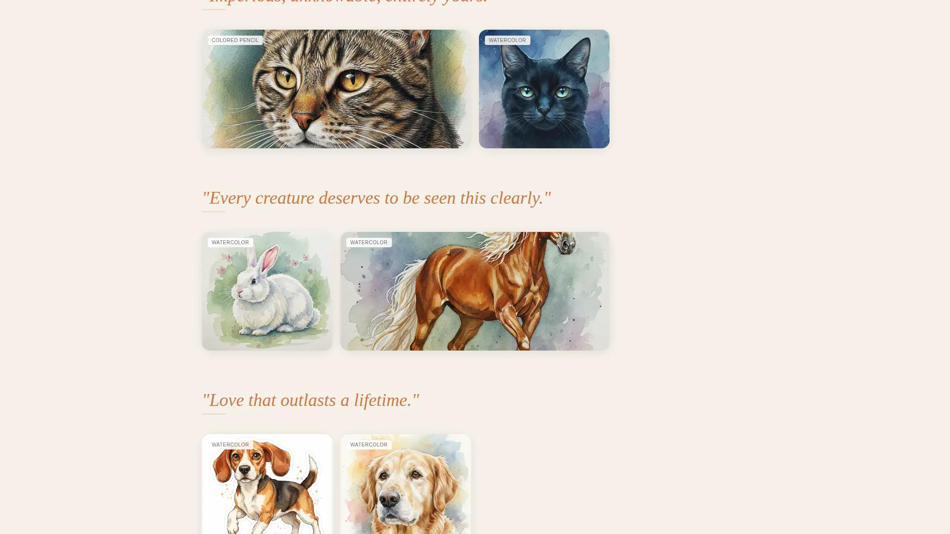 Pet Photography Reviews Website Template