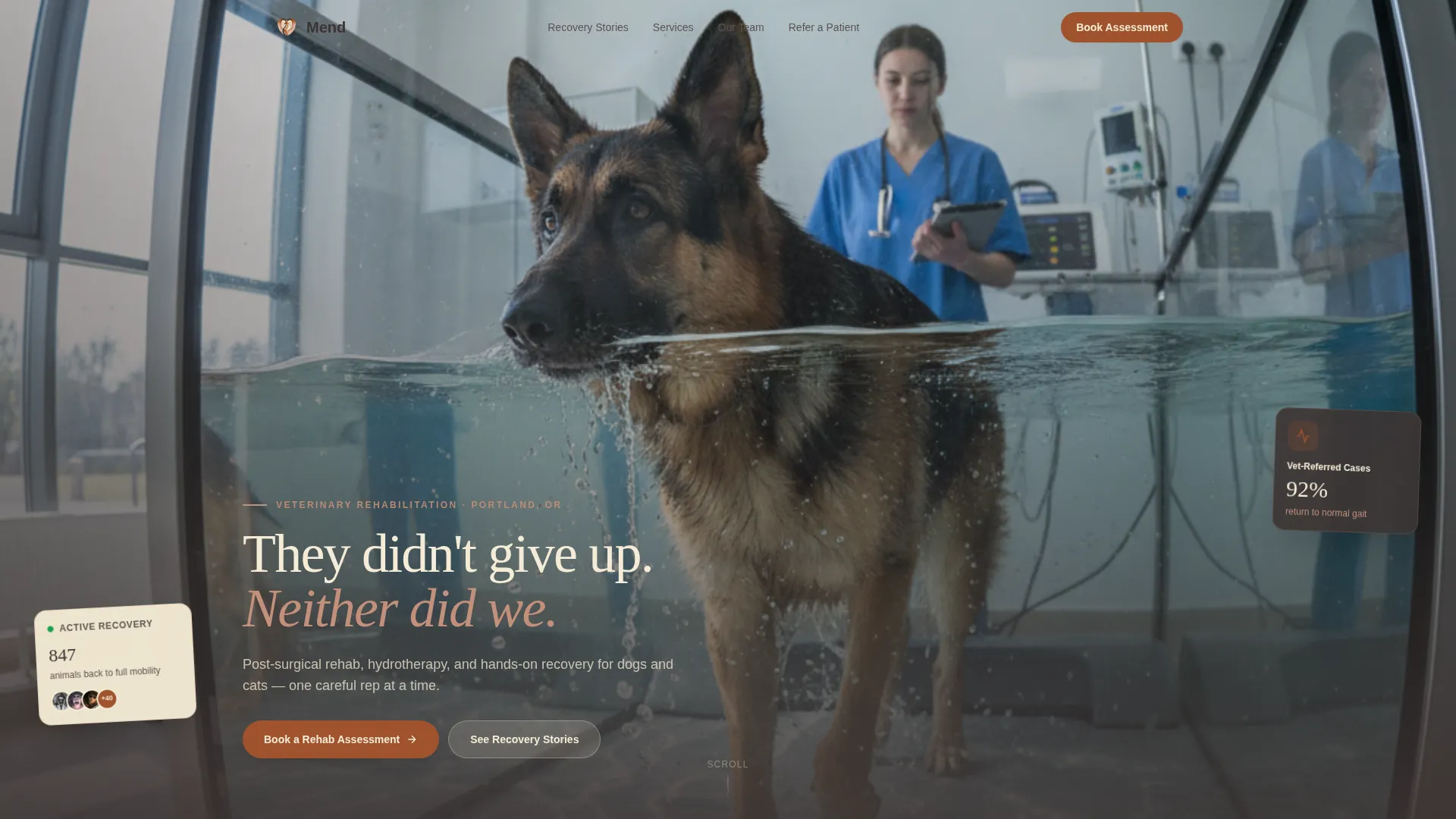 Pet Rehabilitation Center Landing Page Template