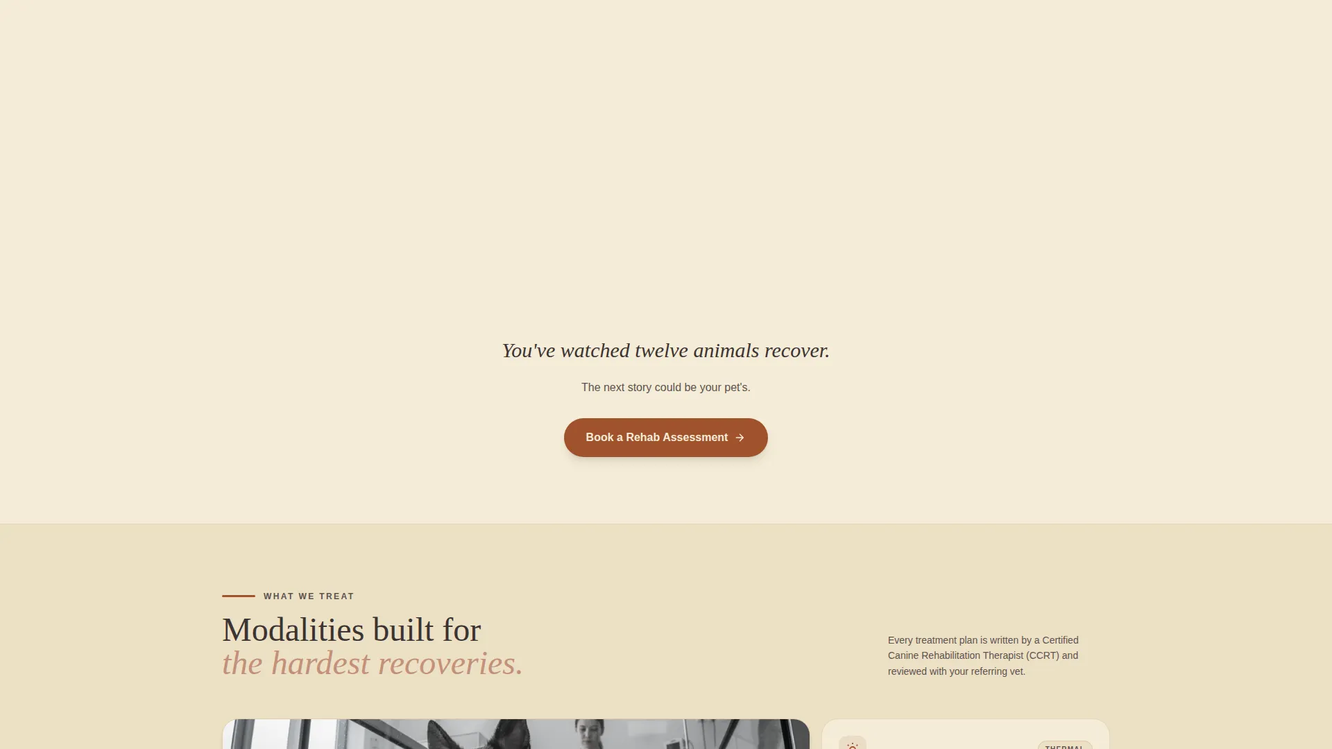 Pet Rehabilitation Center Landing Page Template